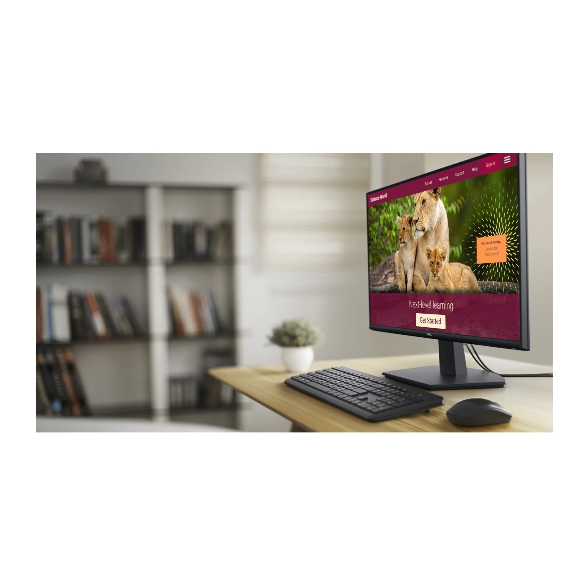 Dell SE2725HM 27-Inch 100Hz Full HD (1920x1080) IPS LED Monitor - Image 8