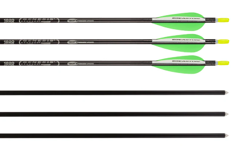 Genesis Archery Easton XX75 30 inch NASP Arrows for Genesis Bows (6-pack, Black) - Image 3