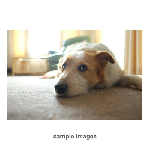 Fujifilm XF 16mm f/1.4 R WR Lens - Image 4