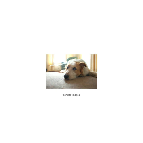Fujifilm XF 16mm f/1.4 R WR Lens - Image 6