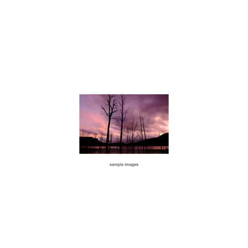 Fujifilm XF 16mm f/1.4 R WR Lens - Image 7