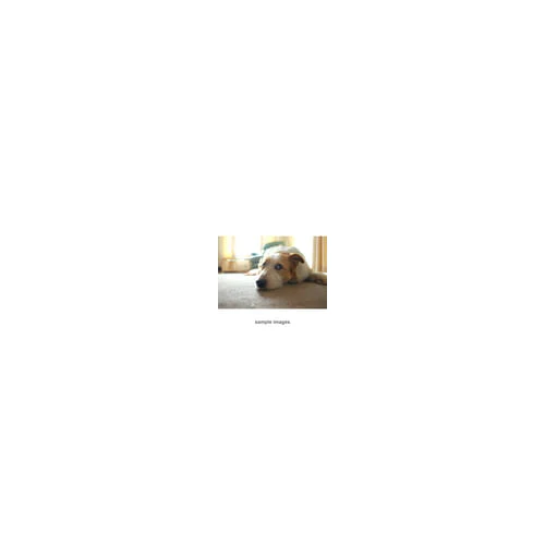 Fujifilm XF 16mm f/1.4 R WR Lens - Image 9
