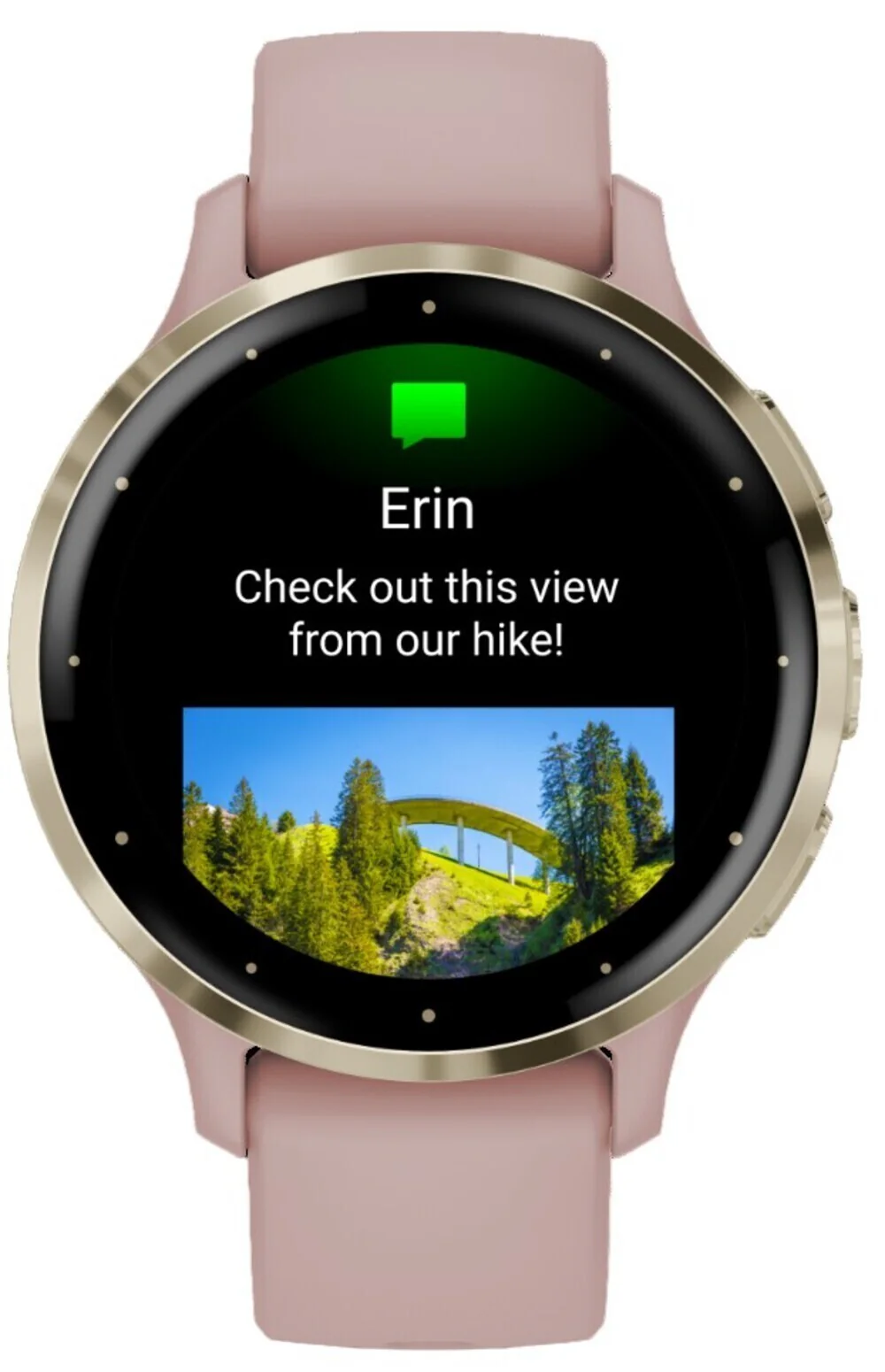 Garmin Venu 3S Smartwatch (Soft Gold/Dust Rose) (Used) - Image 3