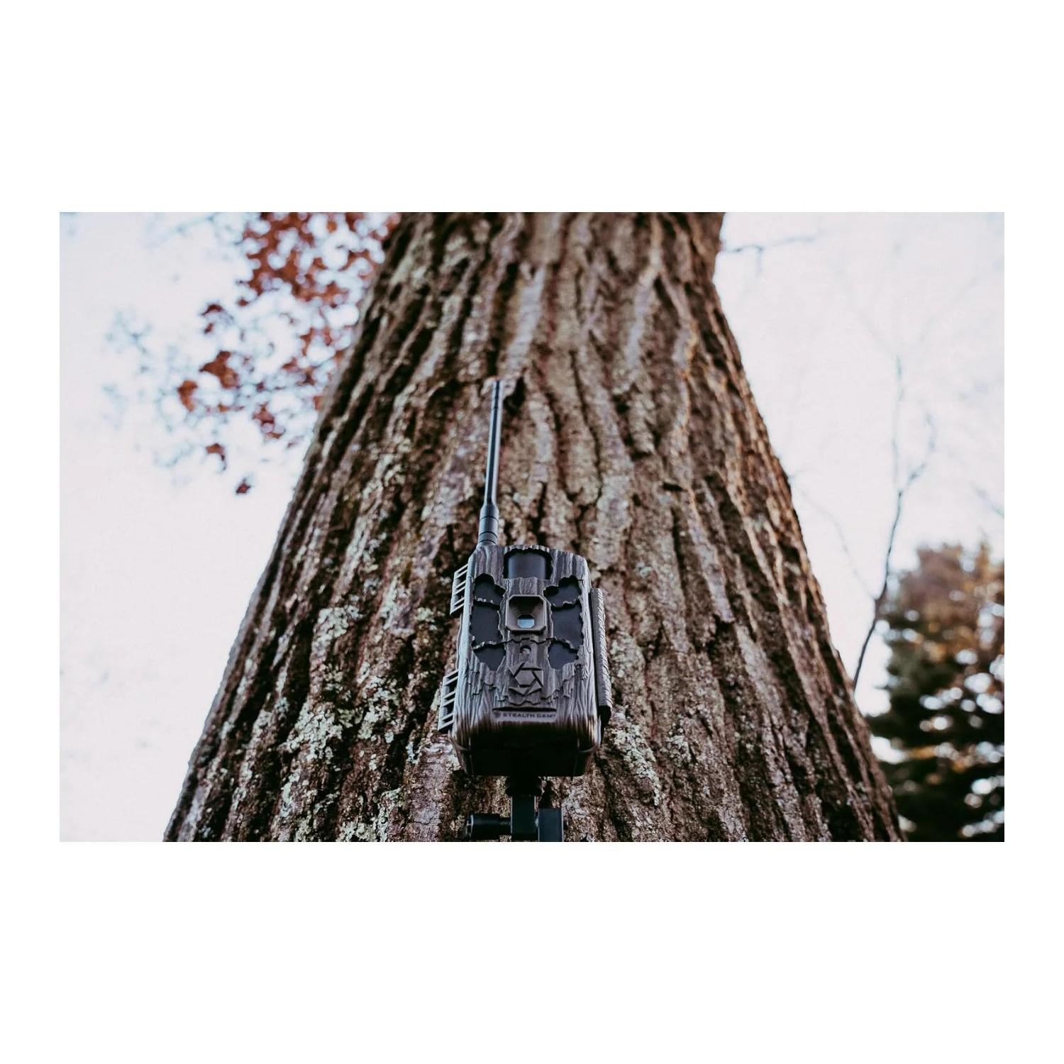 Stealth Cam Deceptor Max 2.0 Dual Core Cellular Camera with 40MP Photo Resolution (Brown, 2-Pack) - Image 2
