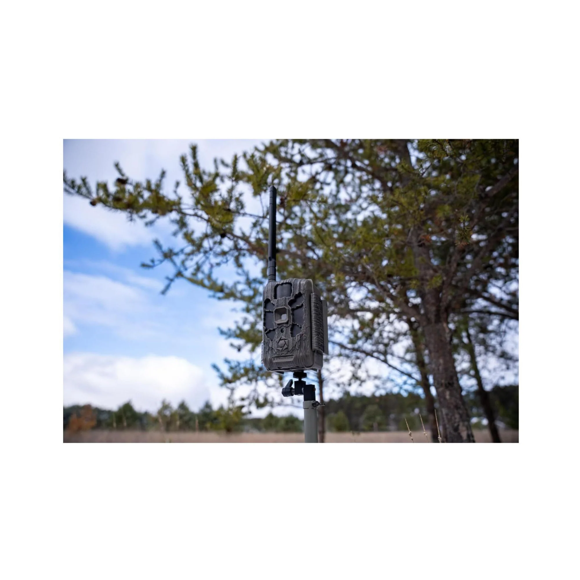 Stealth Cam DECEPTOR MAX 2.0 Trail Camera (Brown) Bundle with 32 GB Memory Card and Card Reader - Image 11