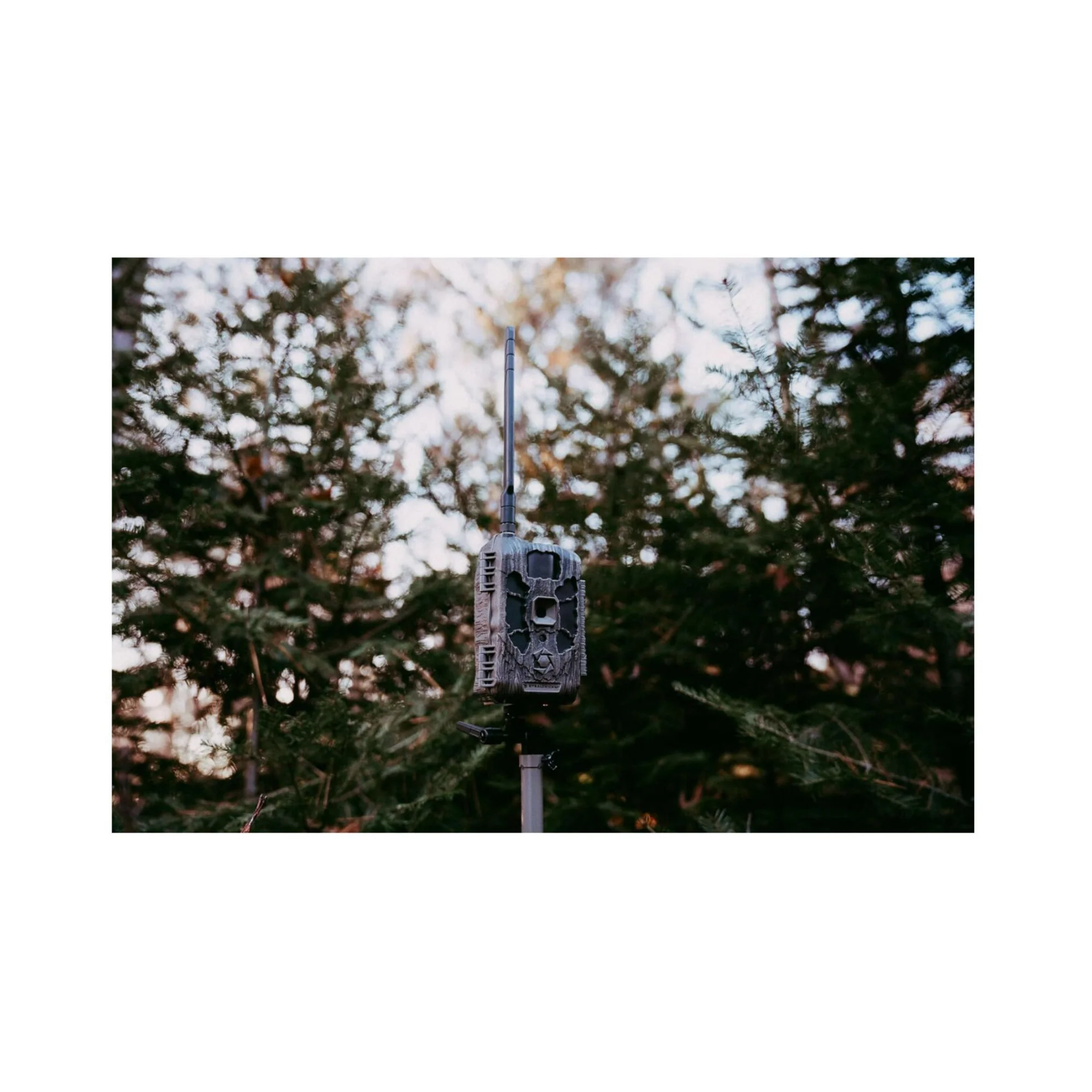 Stealth Cam DECEPTOR MAX 2.0 Trail Camera (Brown) Bundle with 32 GB Memory Card and Card Reader - Image 12