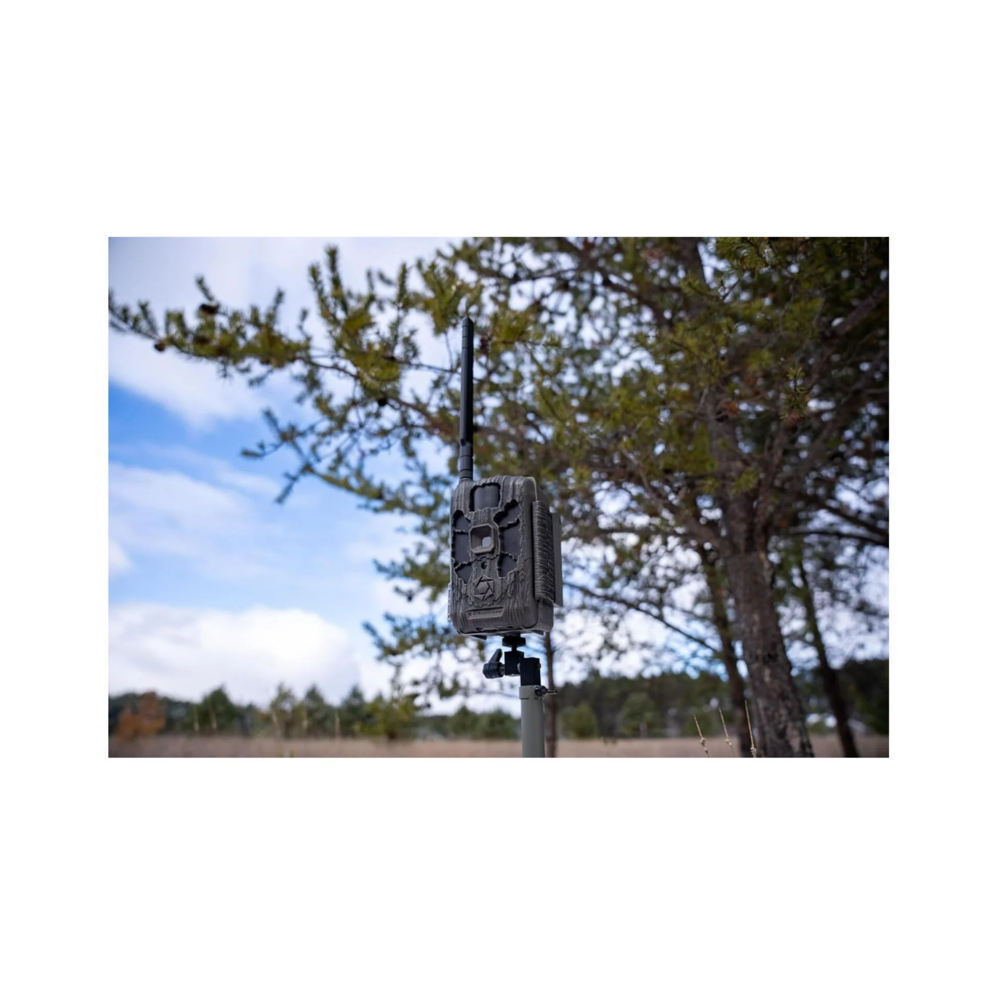 Stealth Cam DECEPTOR MAX 2.0 Trail Camera (Brown) with 32 GB Memory Card and Card Reader (2 Pack) - Image 12