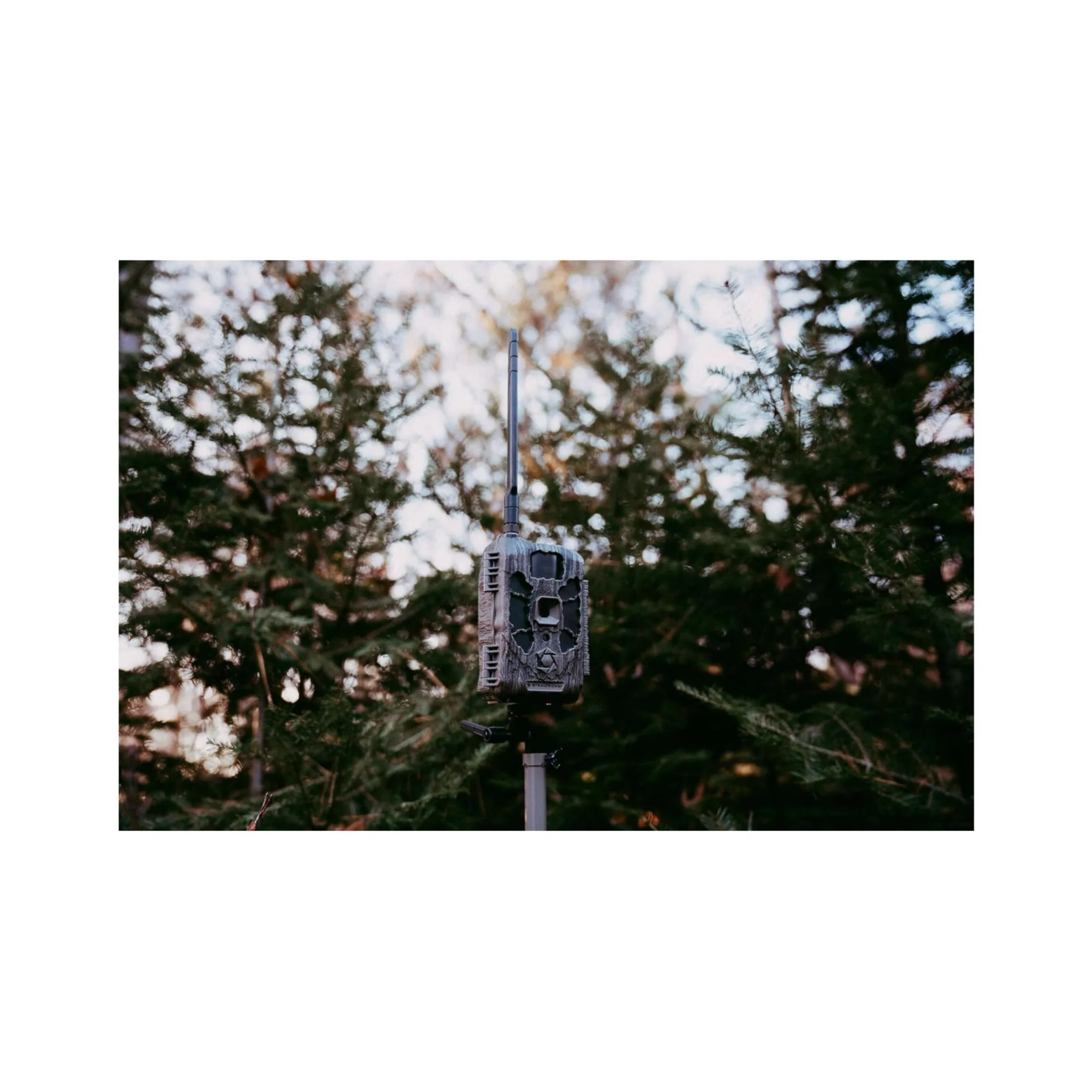 Stealth Cam DECEPTOR MAX 2.0 Trail Camera (Brown) with 32 GB Memory Card and Card Reader (4 Pack) - Image 11
