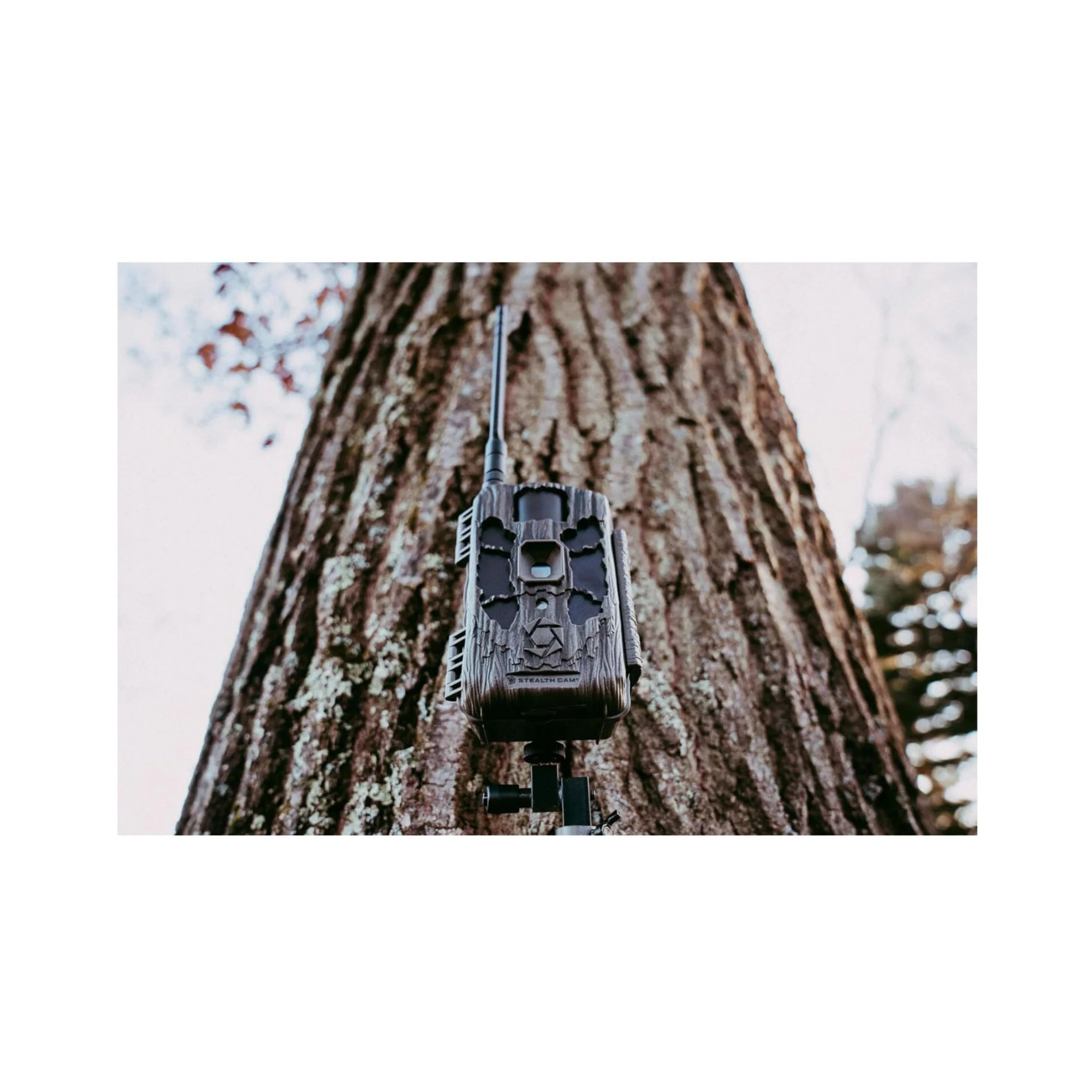 Stealth Cam DECEPTOR MAX 2.0 Trail Camera (Brown) with 32 GB Memory Card and Card Reader (4 Pack) - Image 9