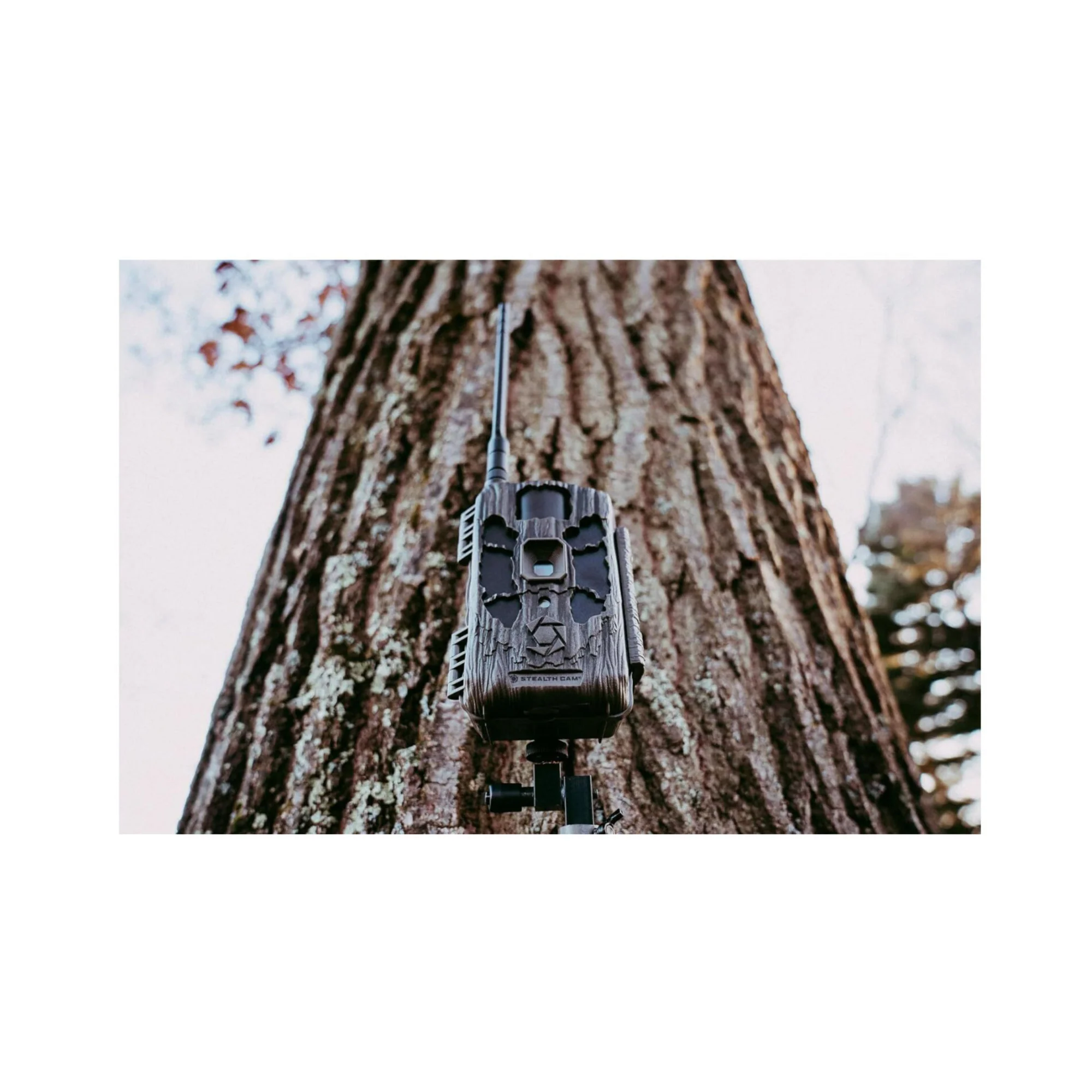 Stealth Cam DECEPTOR MAX 2.0 Trail Camera (Brown) with 32 GB Memory Card and Card Reader (6 Pack) - Image 9