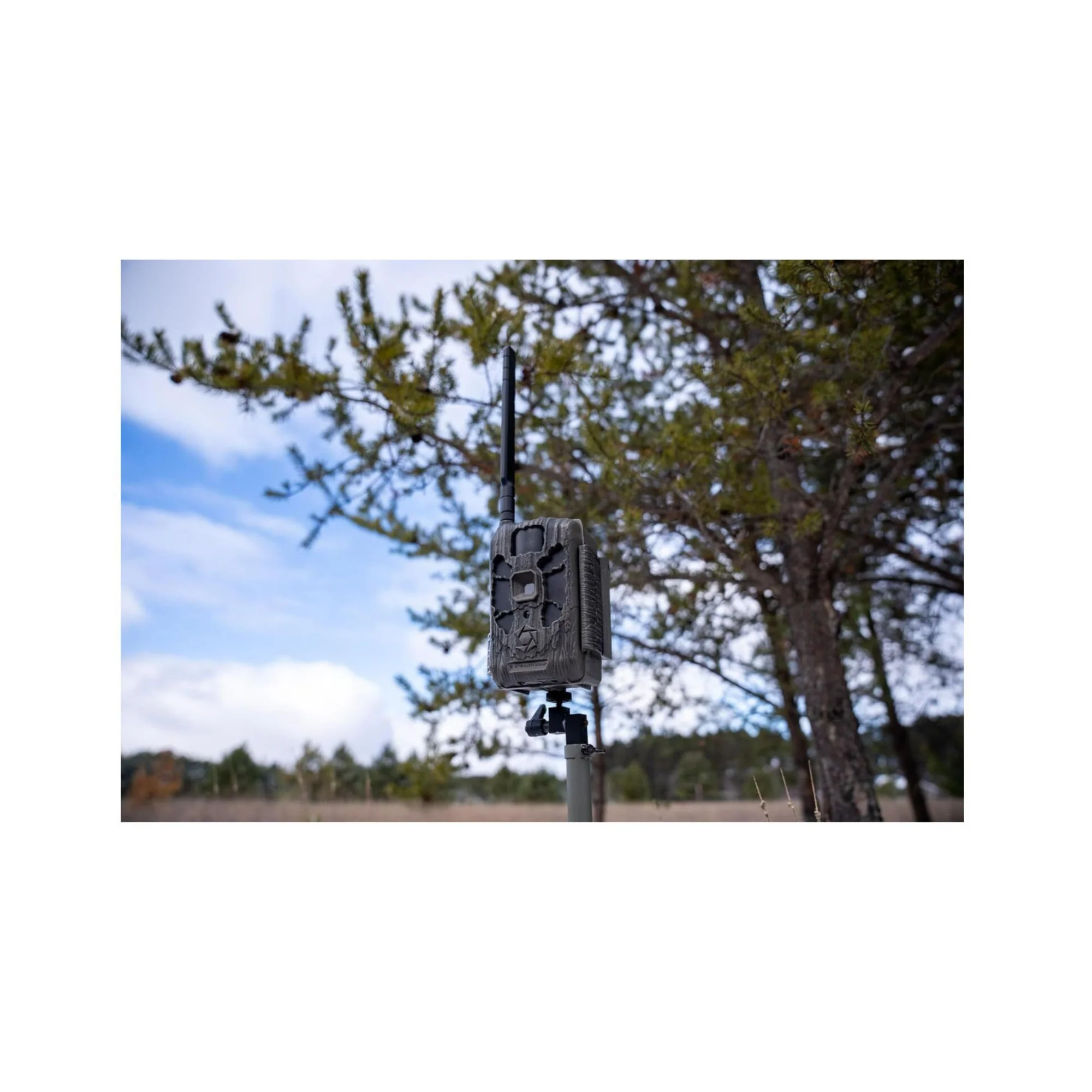 Stealth Cam DECEPTOR MAX 2.0 Trail Camera (Brown) with 32 GB Memory Card and Card Reader (10 Pack) - Image 12