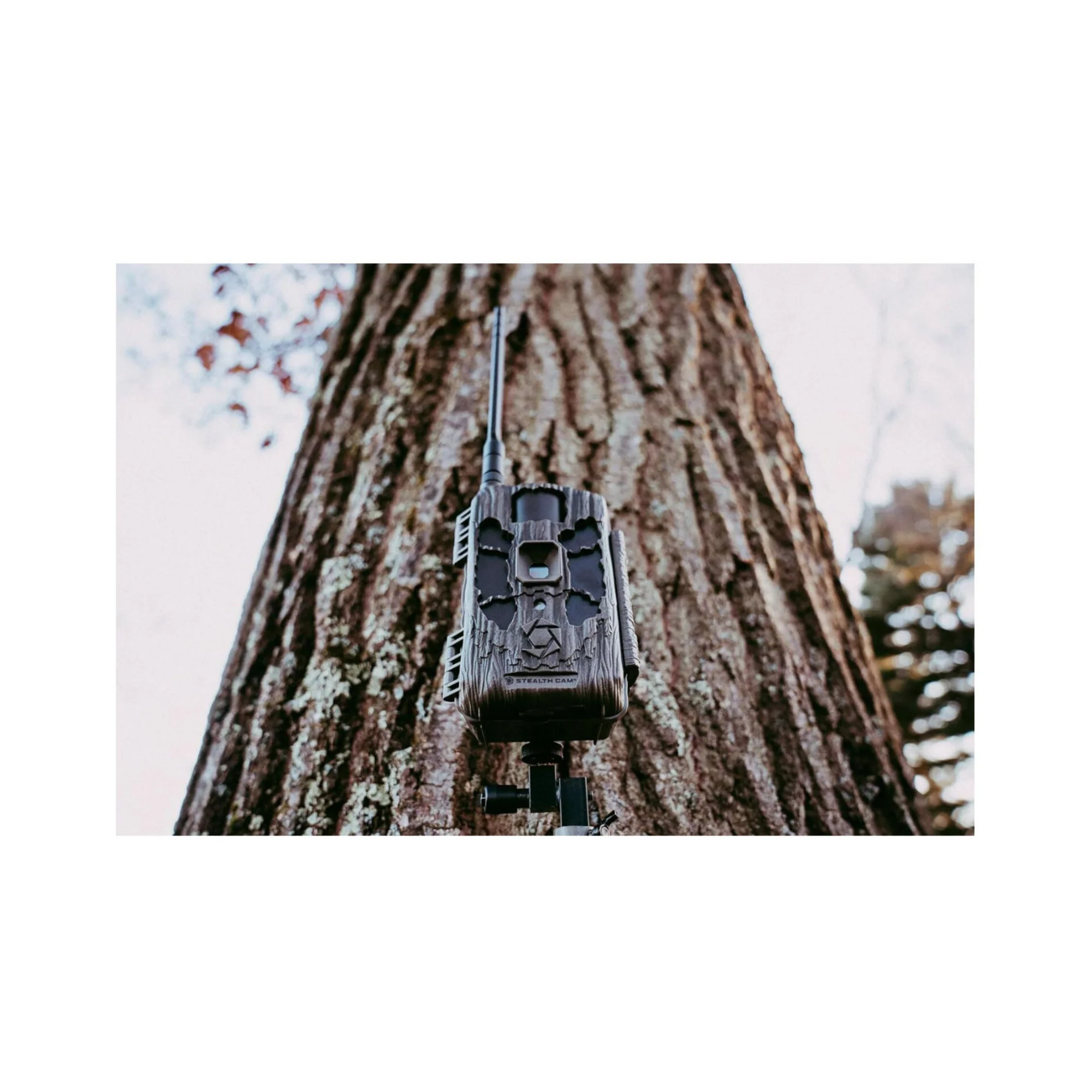 Stealth Cam DECEPTOR MAX 2.0 Trail Camera (Brown) with 32 GB Memory Card and Card Reader (10 Pack) - Image 9