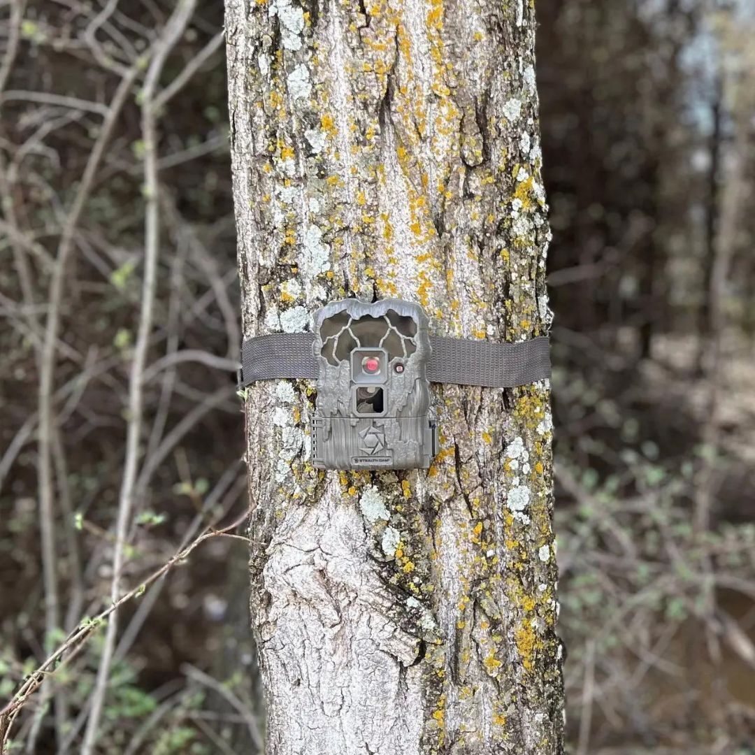 Stealth Cam 20MP Trail Camera with 60 Feet Range Detection and 720P Video Resolution (2-Pack) - Image 3