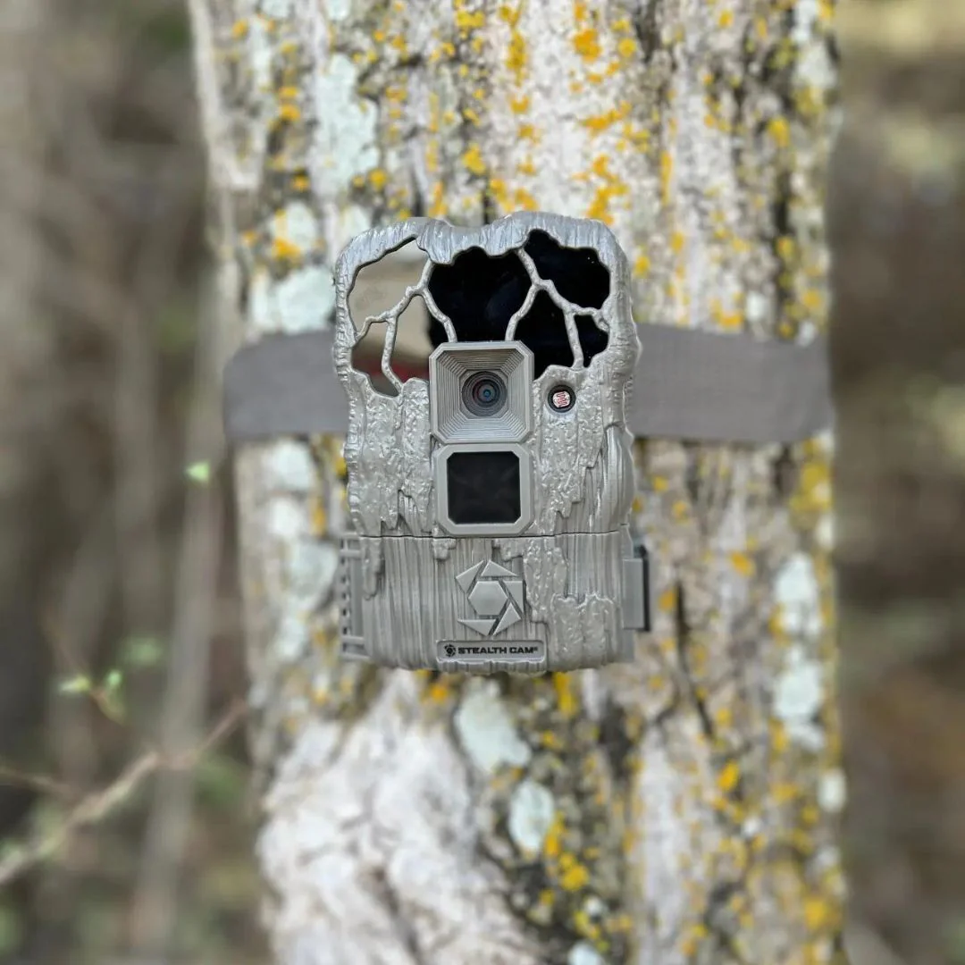 Stealth Cam 20MP Trail Camera with 60 Feet Range Detection and 720P Video Resolution (2-Pack) - Image 4