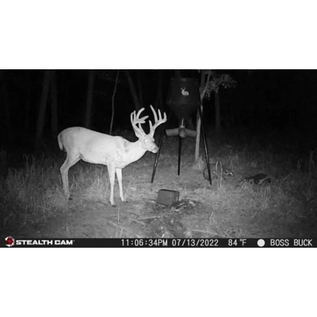 Stealth Cam 20MP Trail Camera with 60 Feet Range Detection and 720P Video Resolution (2-Pack) - Image 5
