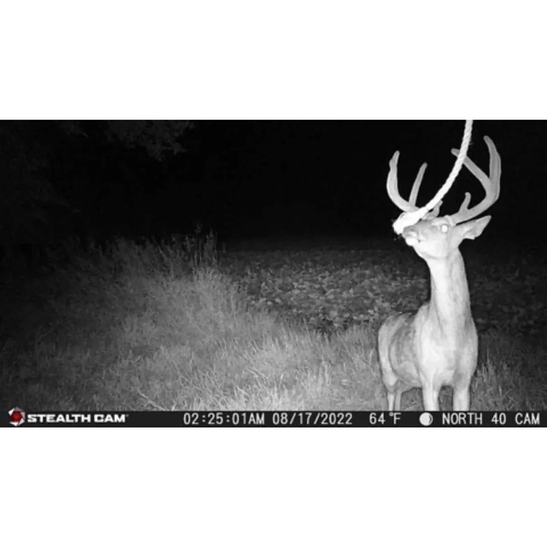 Stealth Cam 20MP Trail Camera with 60 Feet Range Detection and 720P Video Resolution (2-Pack) - Image 6