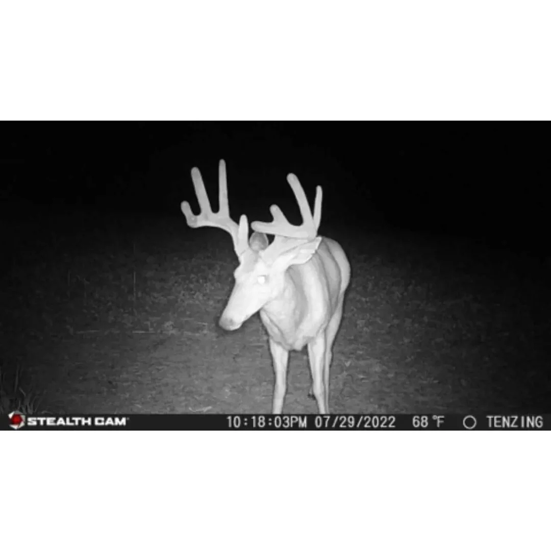 Stealth Cam 20MP Trail Camera with 60 Feet Range Detection and 720P Video Resolution (2-Pack) - Image 7