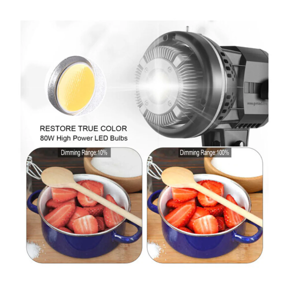 GVM LED Video Soft Light Daylight-Balanced LS-p80s LED 1-Light Kit with Umbrella - Image 3