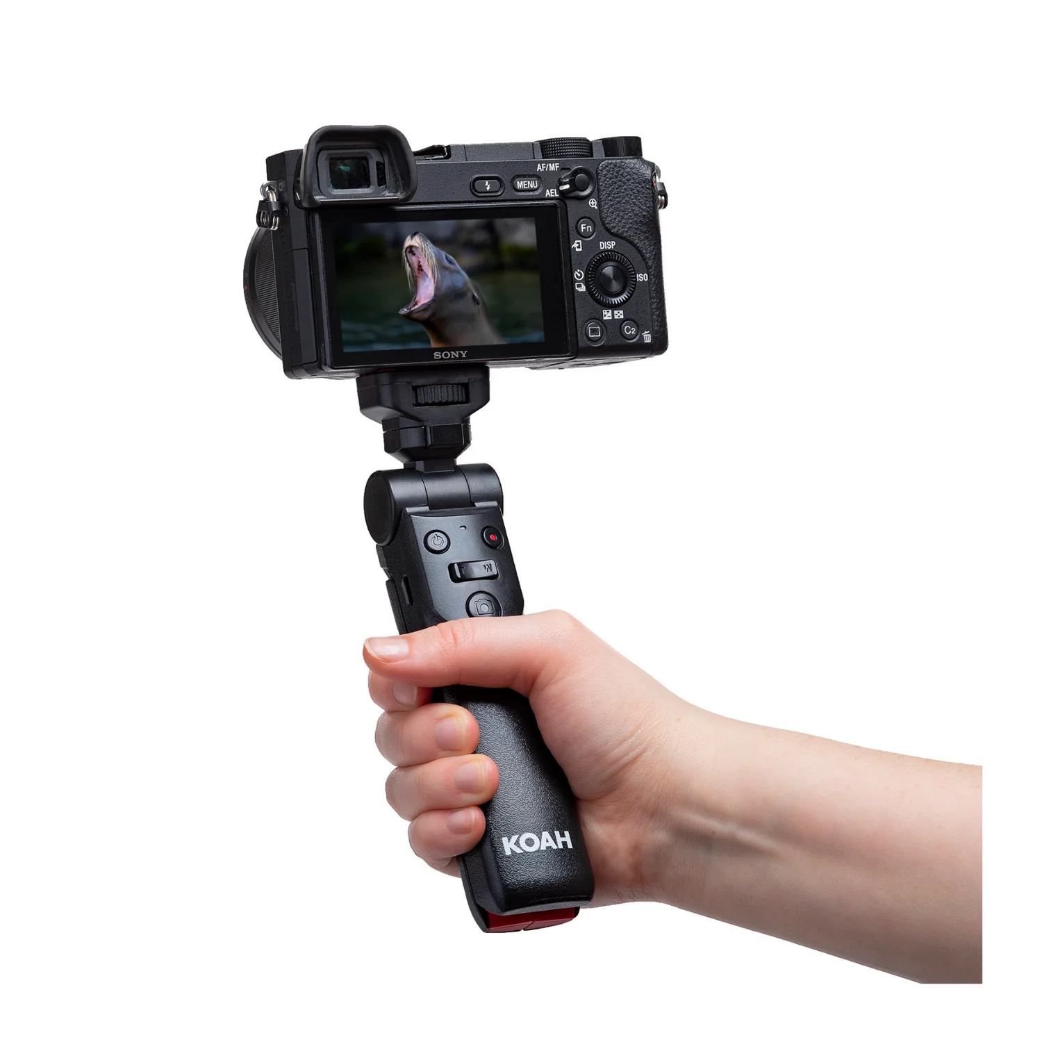 Hollyland Lark M2S Mini Combo, M40 40W, Koah Vlogging Camera Grip and Maxell Folding Storage Bundle - Image 9