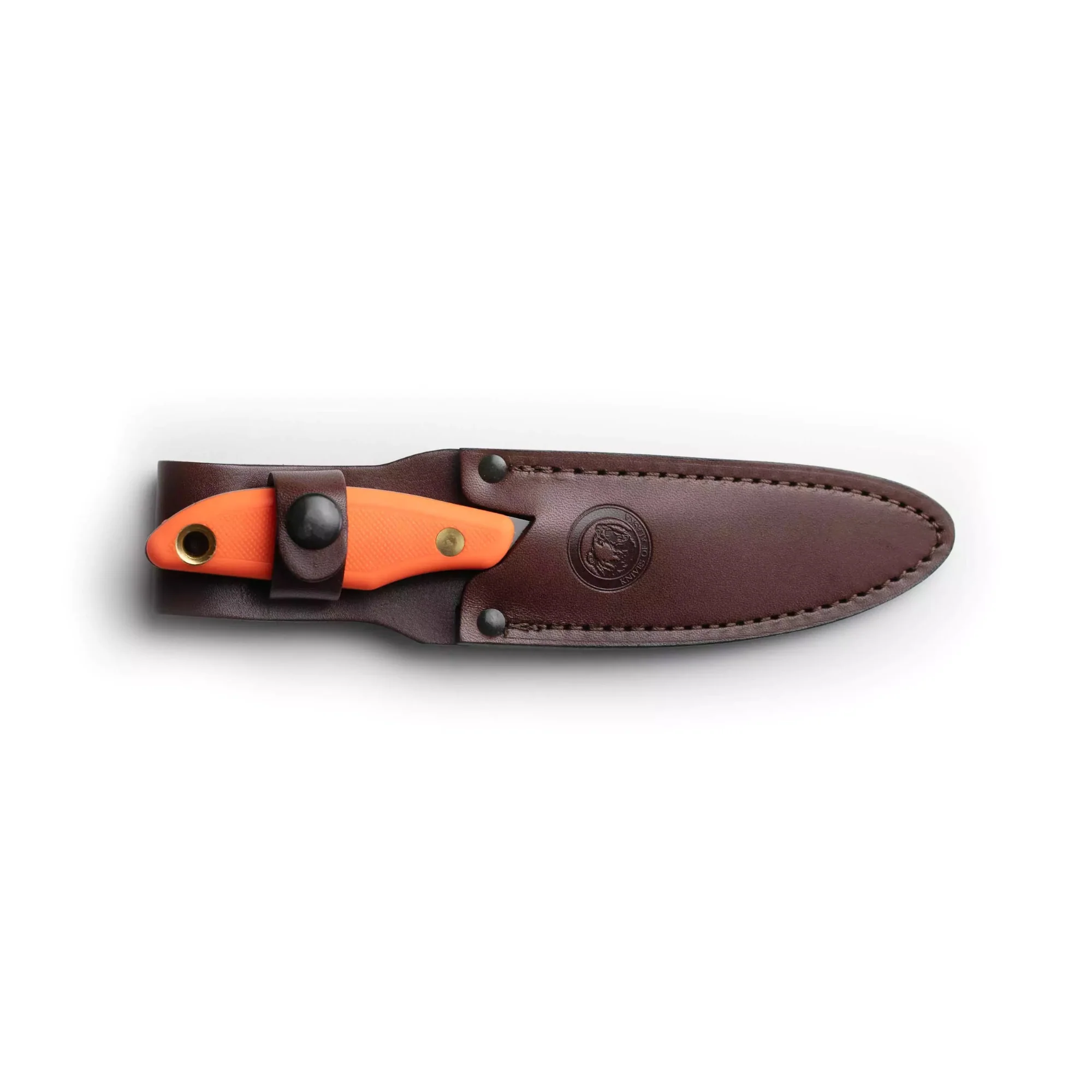 Knives of Alaska Yukon Fixed-Blade Skinning Knife - D2 Steel with Leather Sheath - Image 4