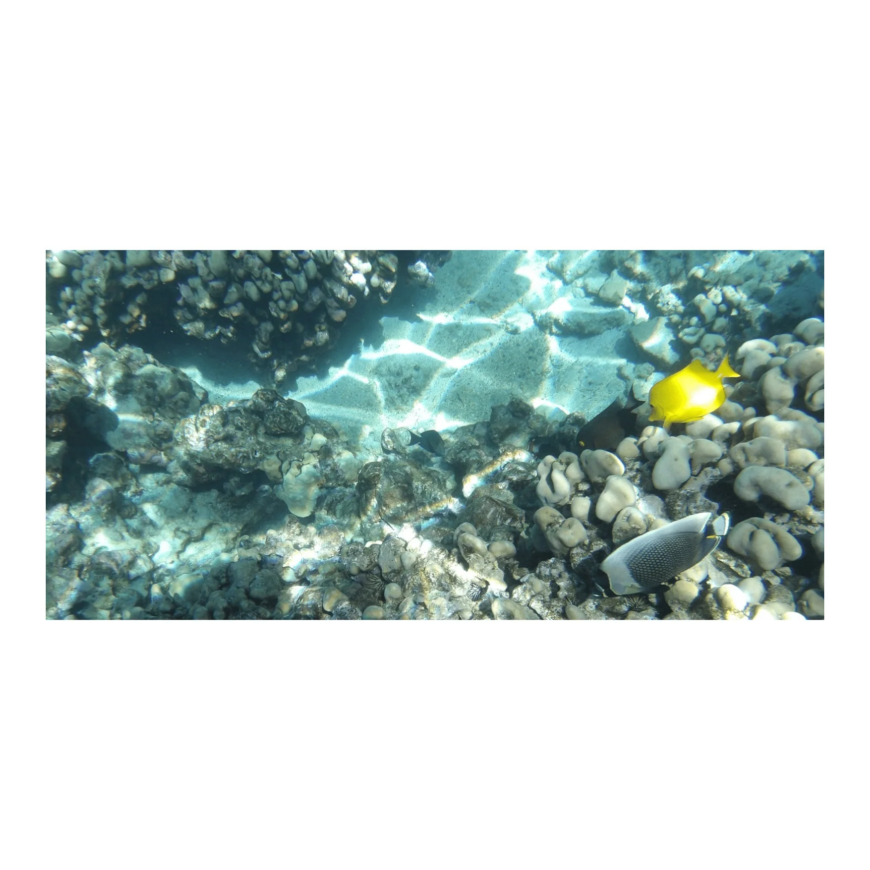 Kodak PIXPRO WPZ2 Rugged Waterproof 16MP Camera with 4x Zoom (Yellow) with Case and 32GB MicroSD - Image 4