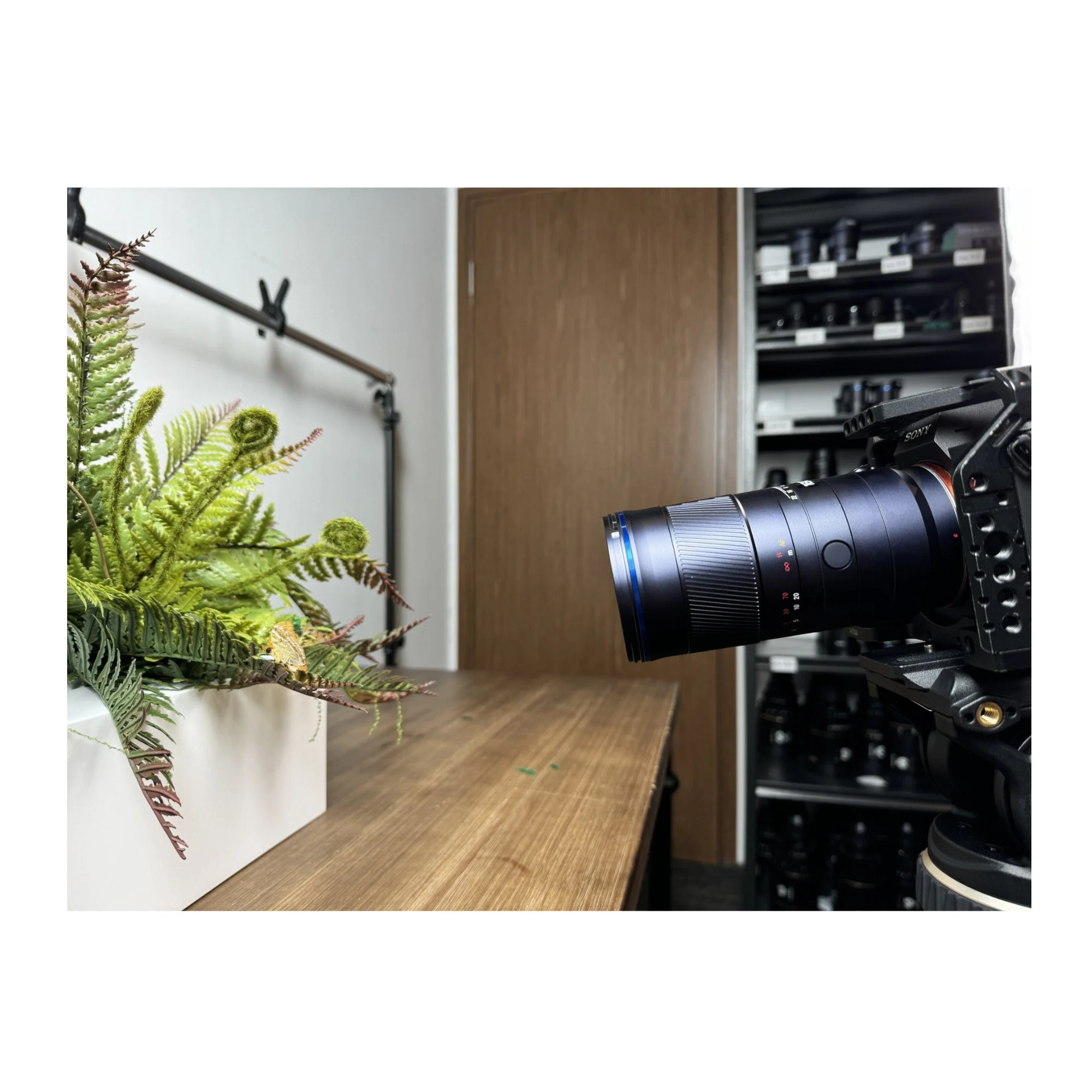 LAOWA 180mm f/4.5 1.5X Ultra Macro APO Lens (Sony E) - Image 7