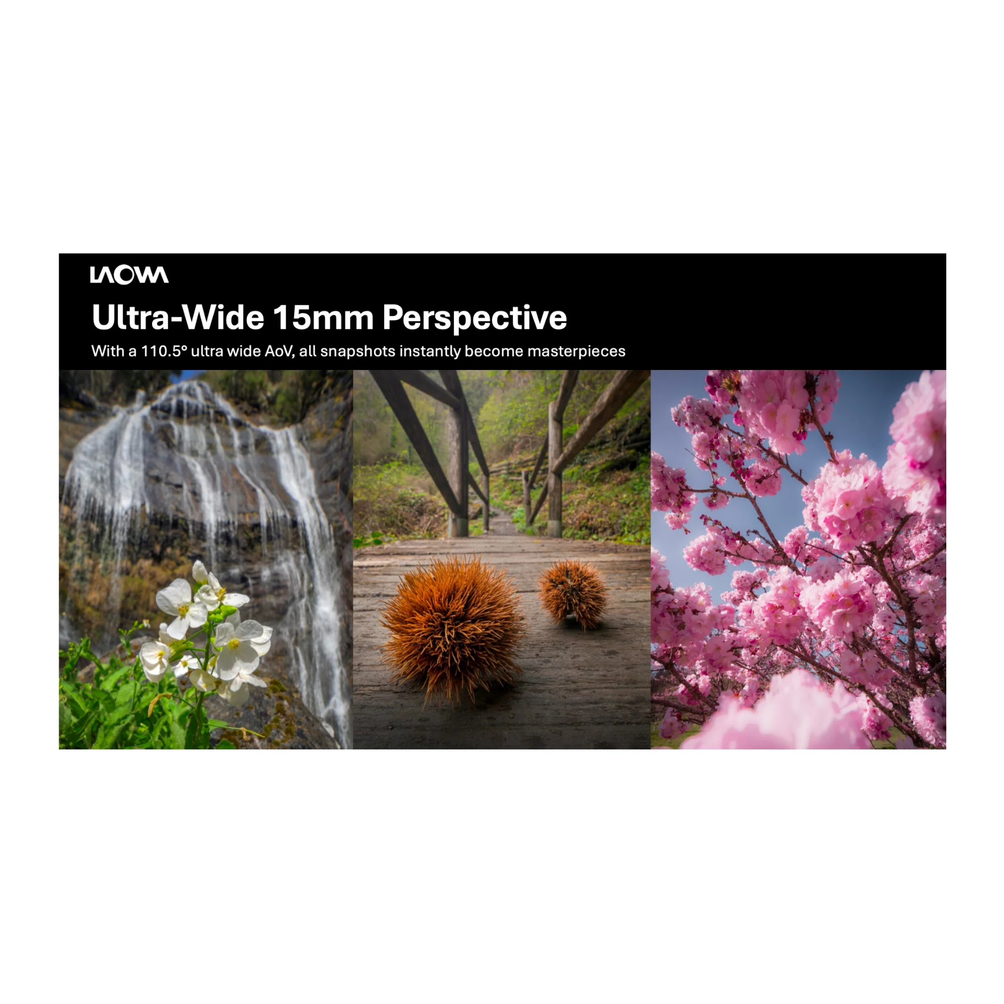 Laowa 15mm f/4.5 0.5X Wide Angle Macro (Auto Aperture) for Sony E-Mount - Image 4