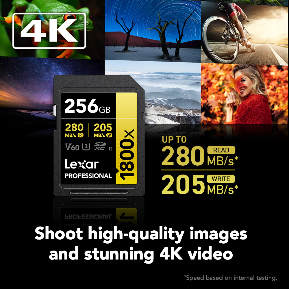 Lexar 256GB Professional 1800x UHS-II SDXC Memory Card (GOLD Series) - Image 4