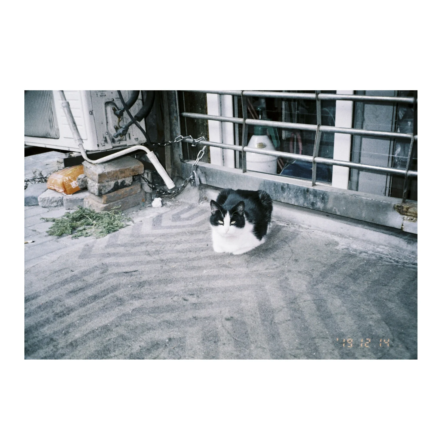 Lomography LomoChrome Metropolis ISO 100-400 Color Negative 35mm Film Roll - Image 4