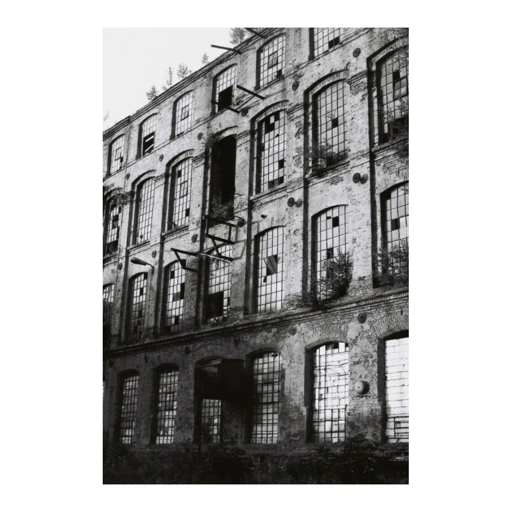 Lomography Lady Grey 400 ASA 35mm Film (3-Pack) - Image 4