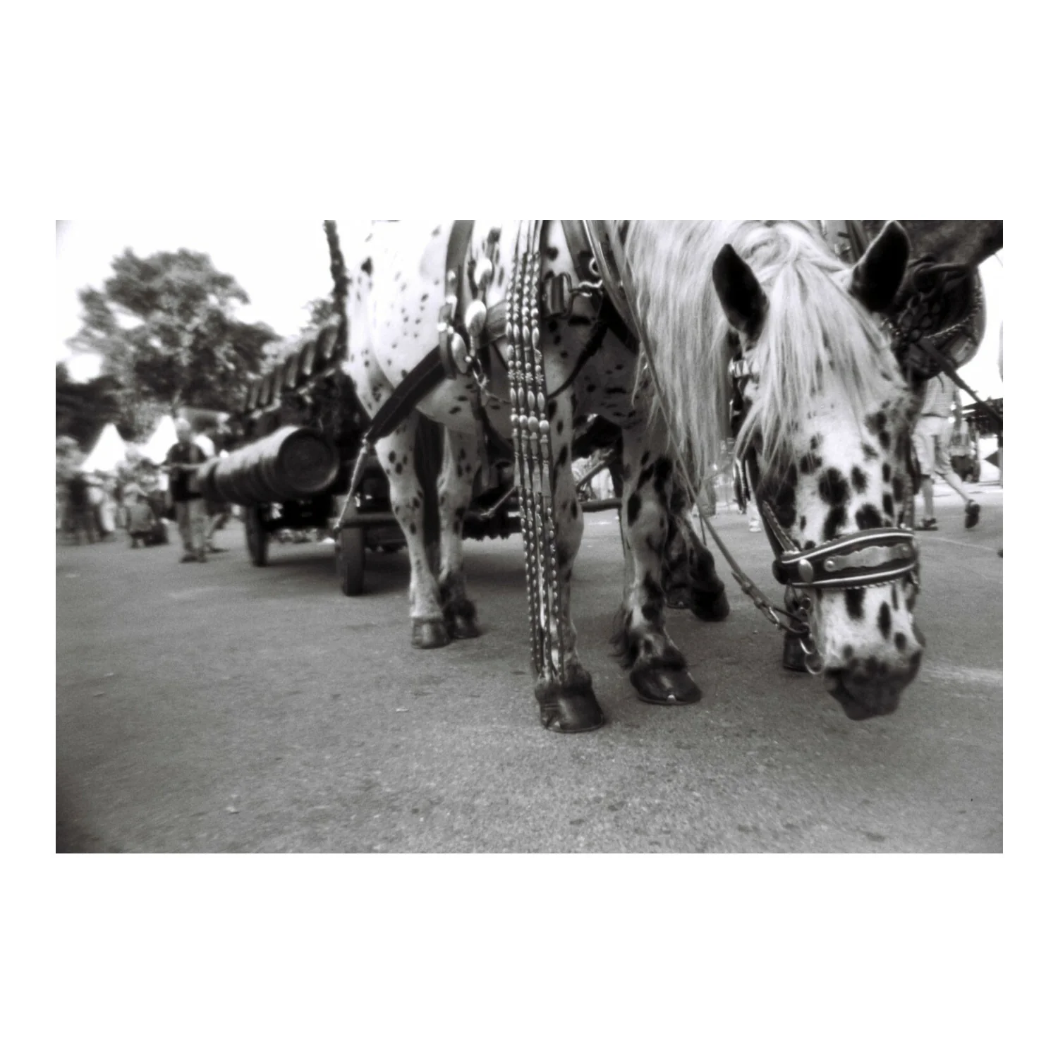 Lomography Lady Grey 400 ASA 35mm Film (3-Pack) - Image 6