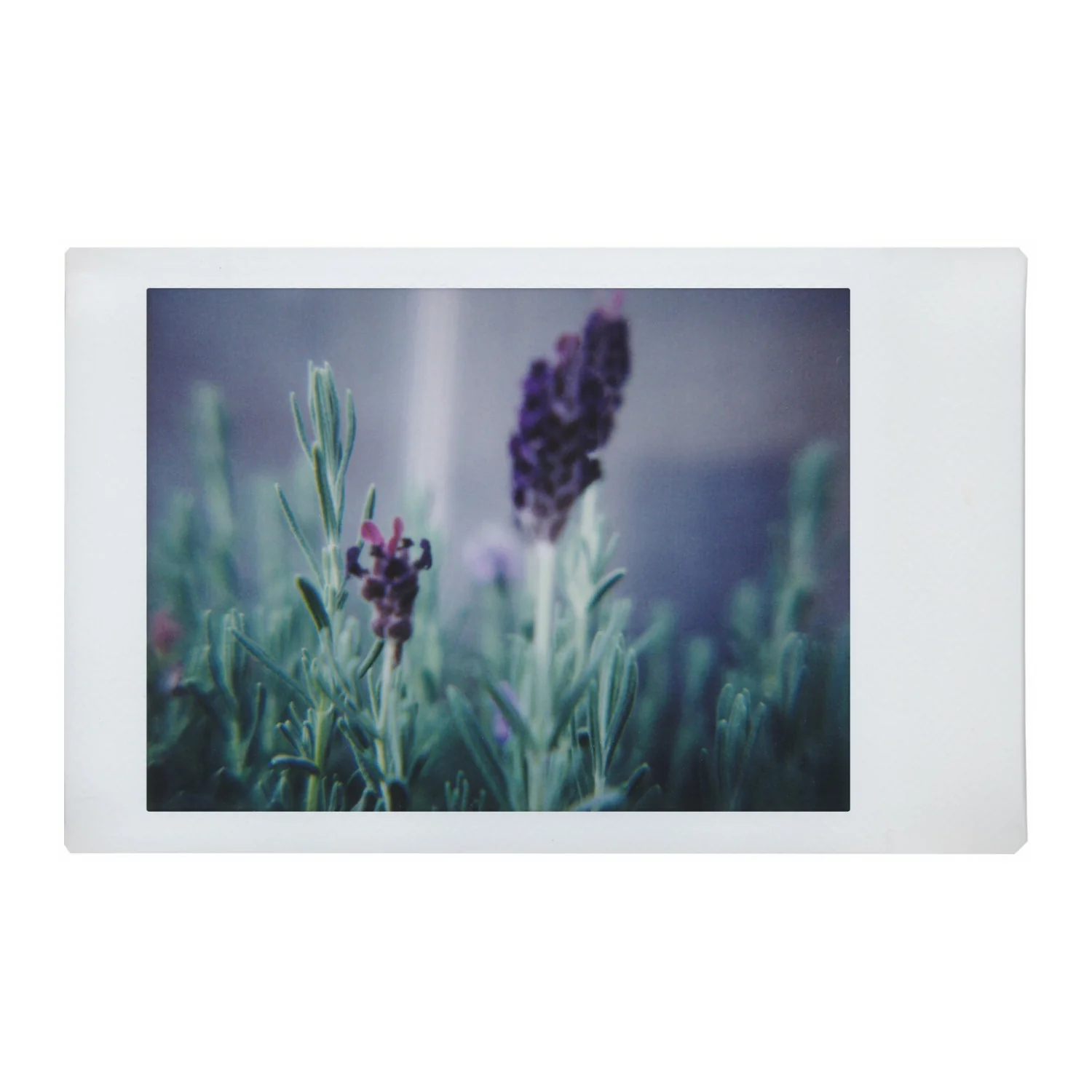 Lomography Lomo'Instant Automat Camera (South Beach Edition) - Image 5