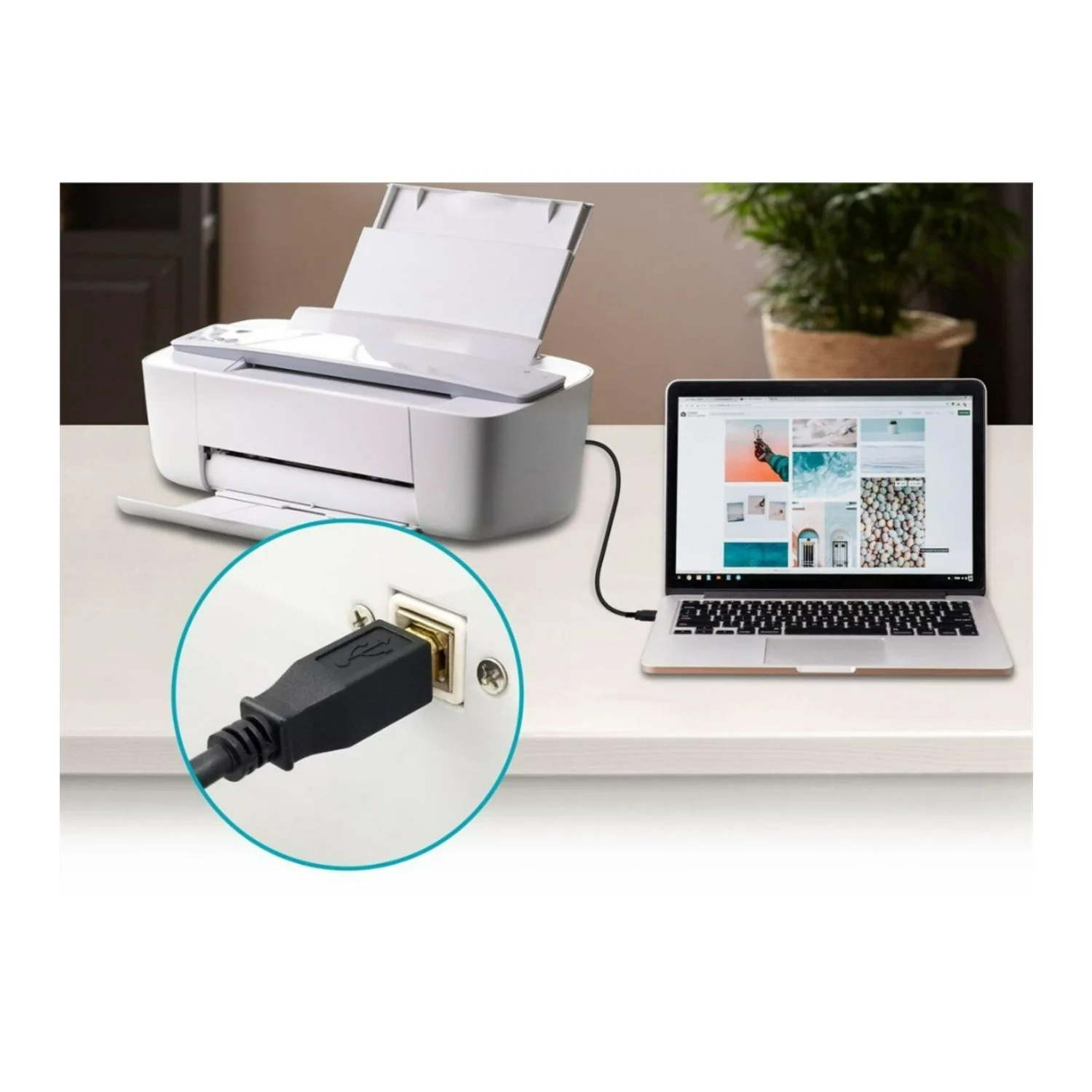 Monoprice USB Type-A to USB Type-B 2.0 28/24AWG Gold Plated Cable (Black, 3-Feet) - Image 5