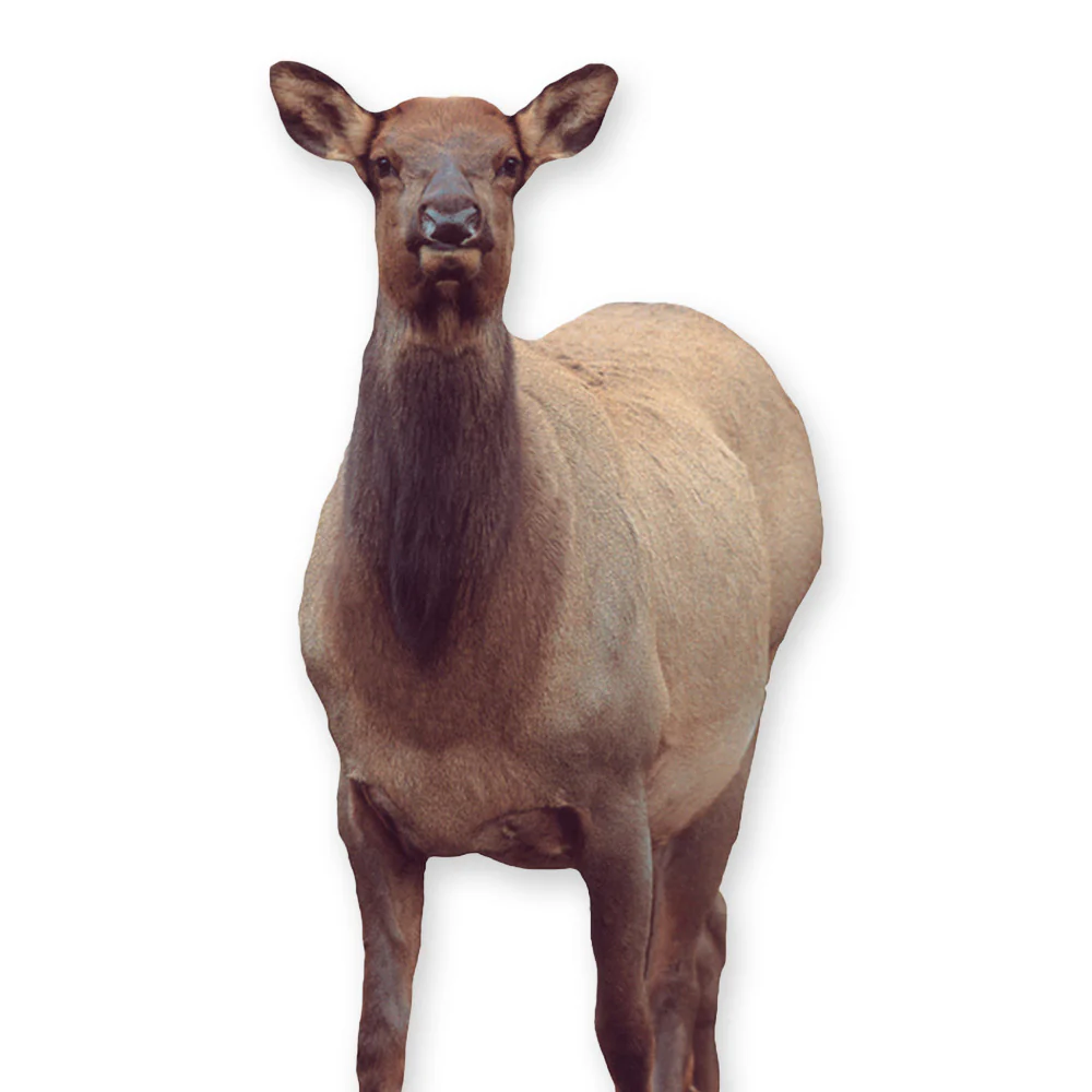 Montana Decoy Eichler Elk Ultra-Portable Full-Body Bundle with Carrier - Image 2
