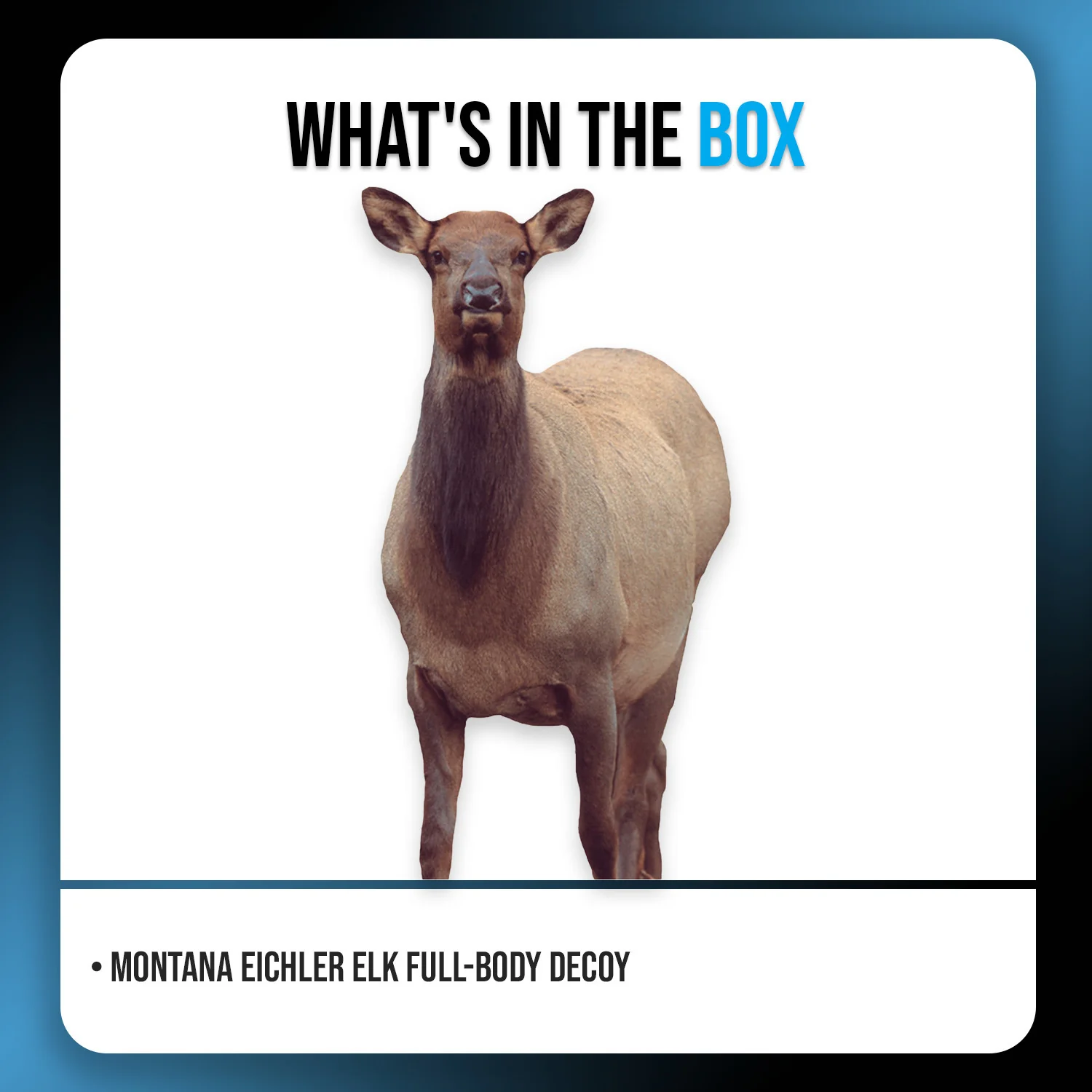Montana Decoy Eichler Elk - Ultra-Portable, Full-Body Designed by Fred Eichler - Image 7