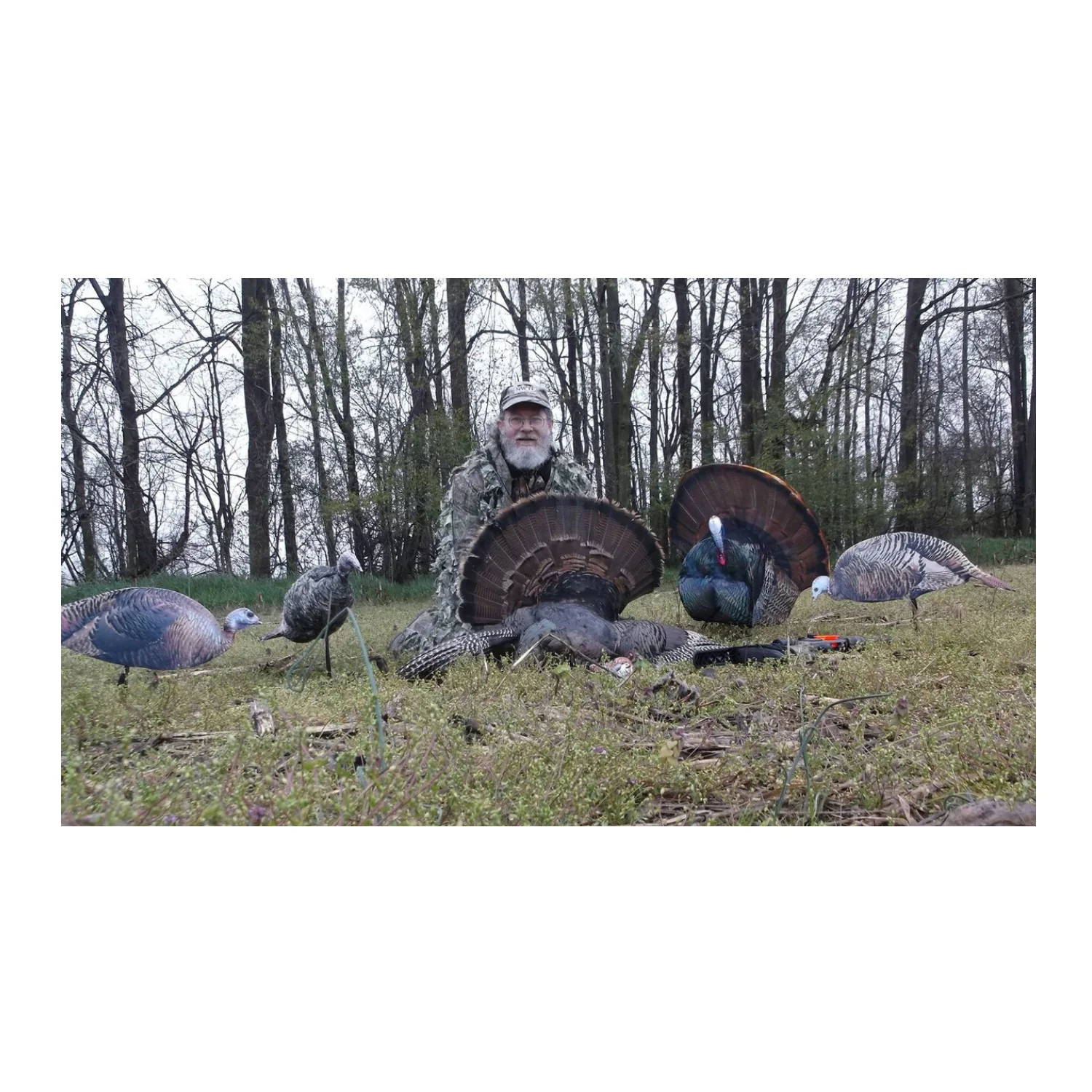 Montana Decoy Spring Fling Turkey Decoy - Foldable and Portable, Photo-Realistic - Image 3