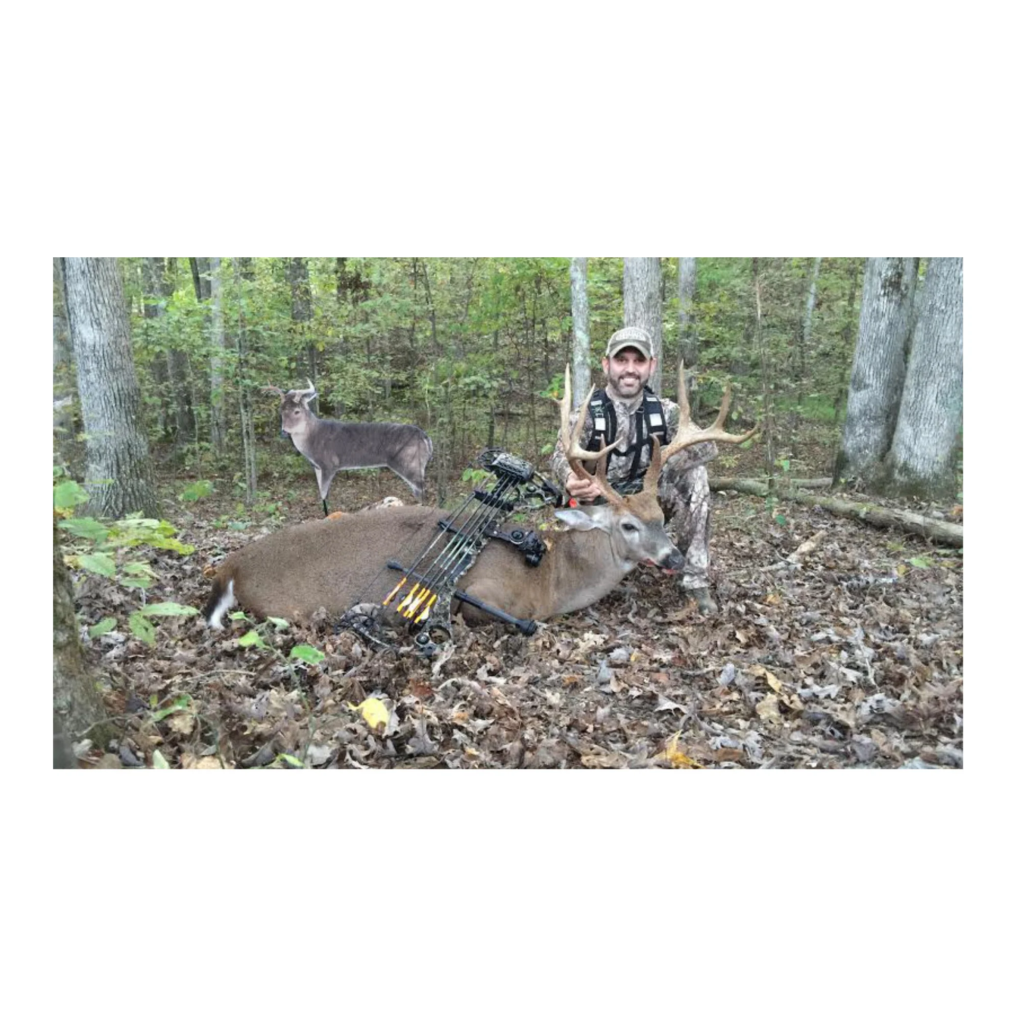 Montana: The Freshman (Whitetail Buck Decoy) - Image 2