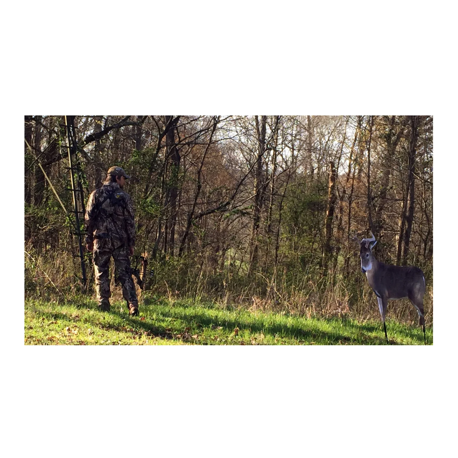 Montana: The Freshman (Whitetail Buck Decoy) - Image 3