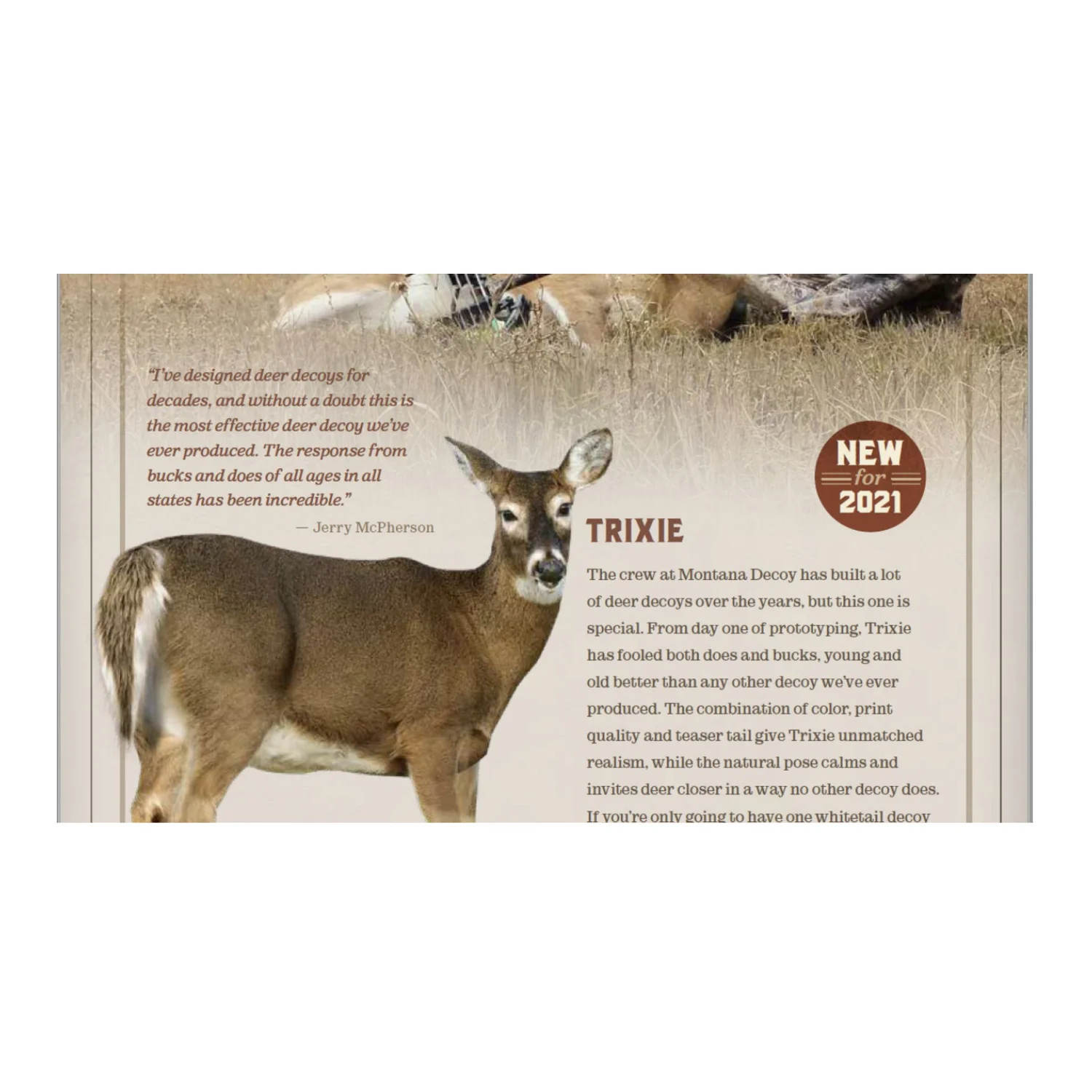 Montana: Trixie Whitetail Doe - Ultra-Realistic Deer Decoy with Teaser Tails - Image 6