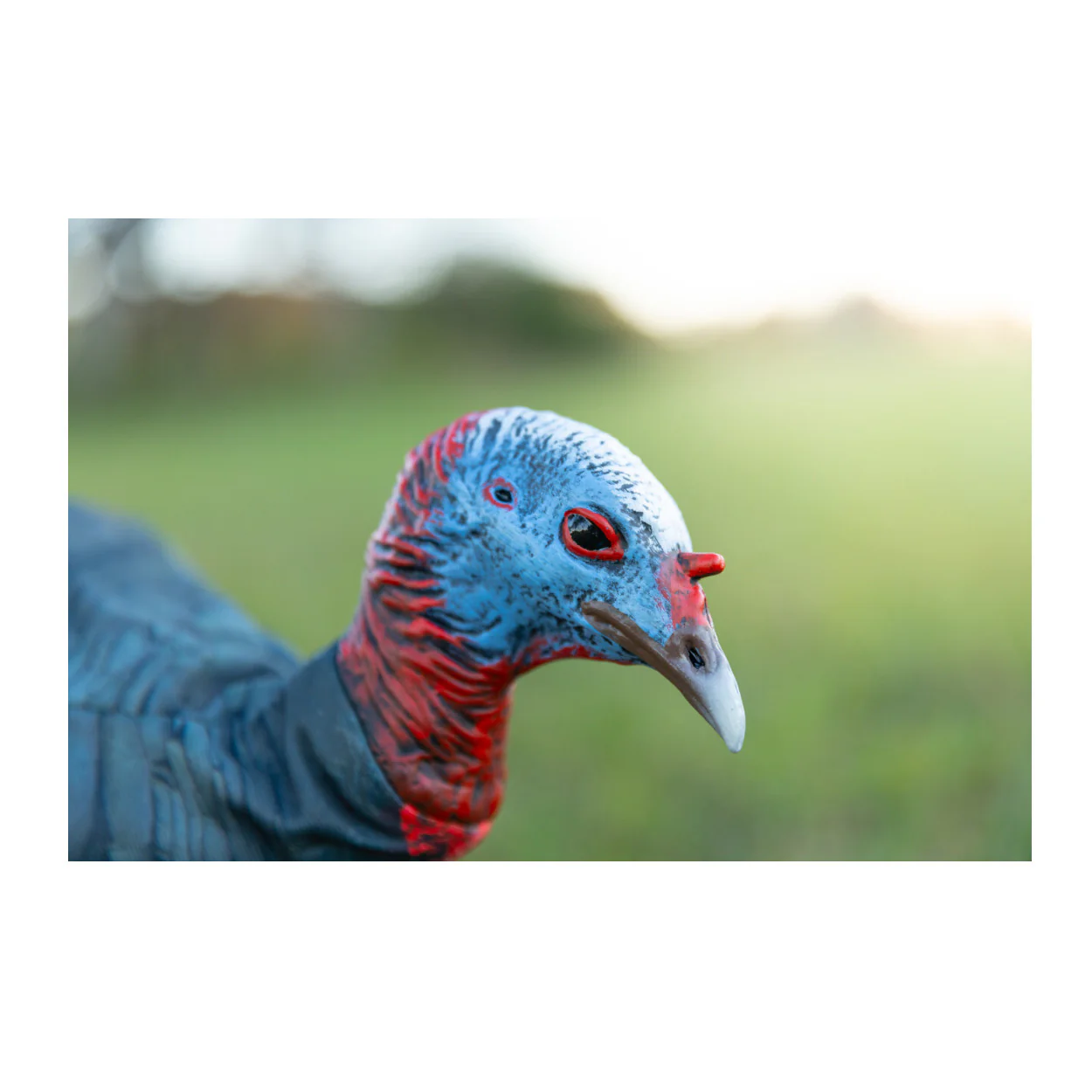 Montana Decoy Jake Purr-Fect XD3 Realistic Turkey Decoy with Magnetic Leg Pole - Image 4