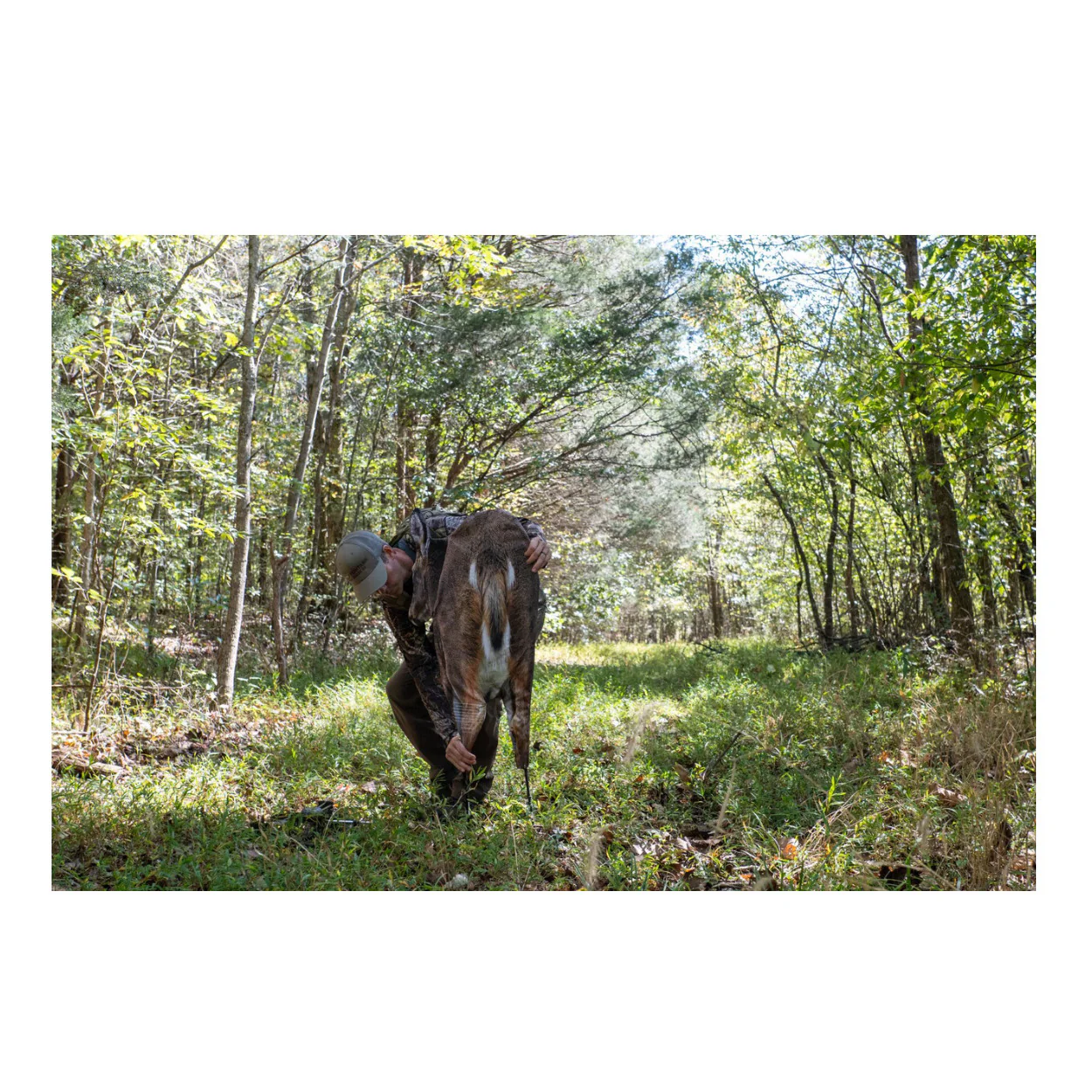 Montana Decoy Deer Rump Whitetail Decoy Lightweight and Foldable Hunting Decoy - Image 2