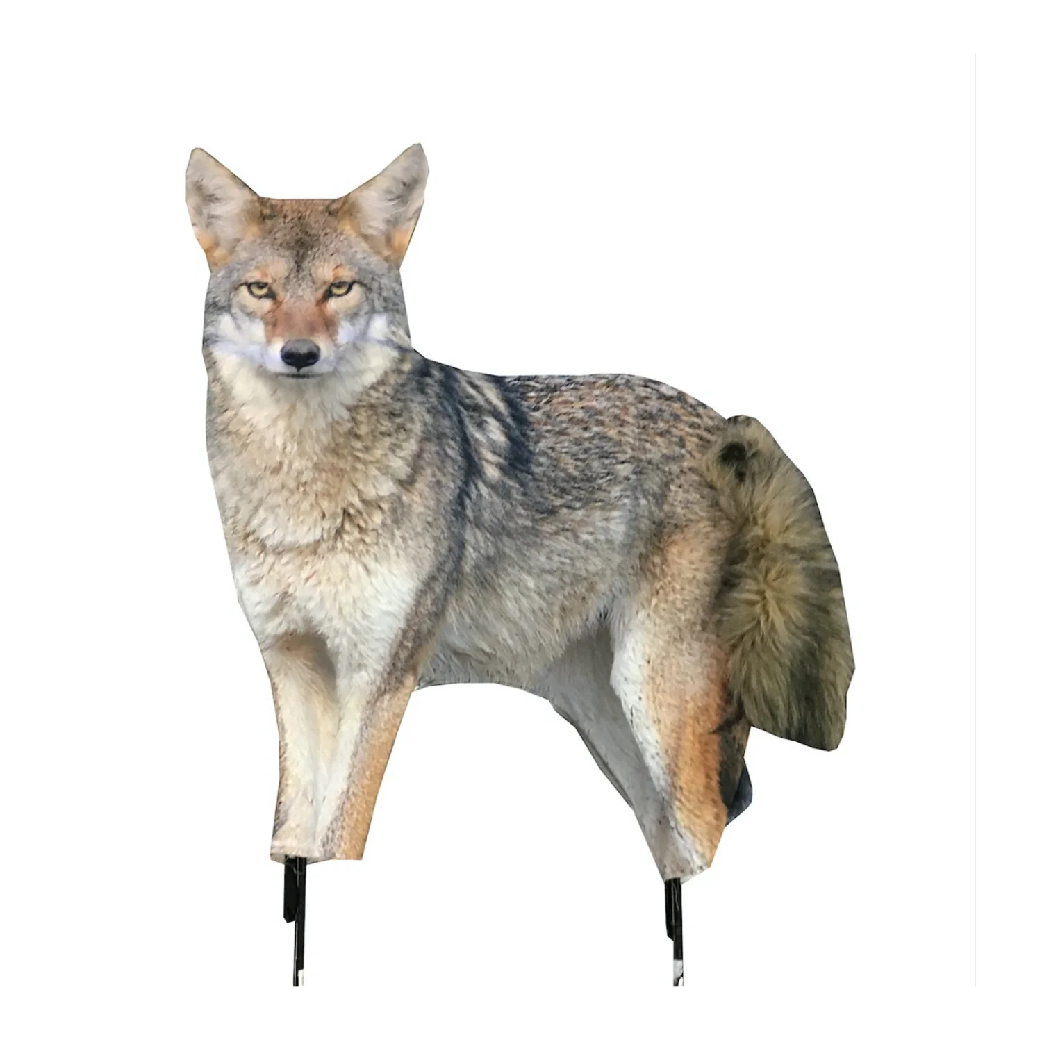 Montana The Song Dog Realistic Coyote Decoy with 3D Moving Tail