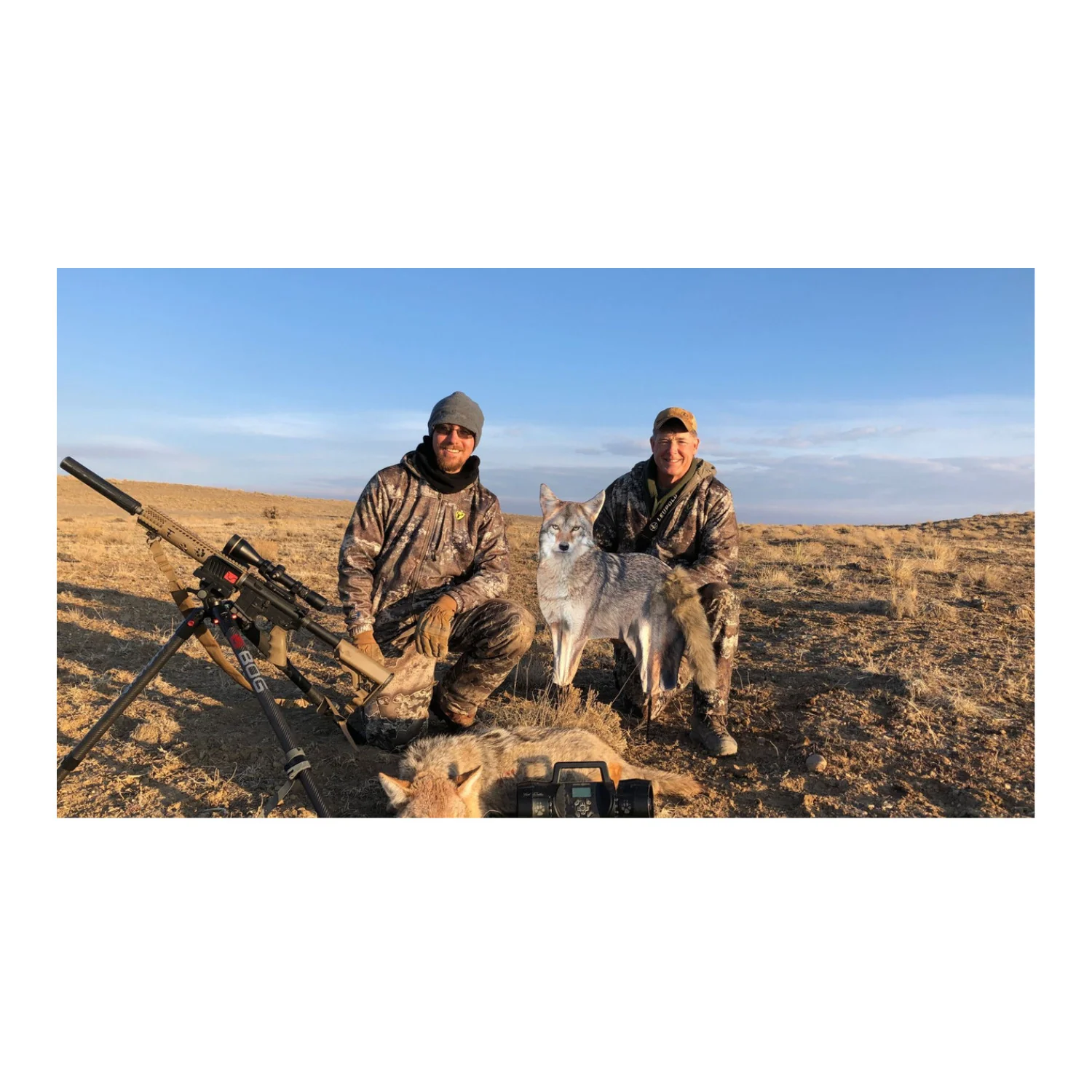 Montana The Song Dog Realistic Coyote Decoy with 3D Moving Tail - Image 3