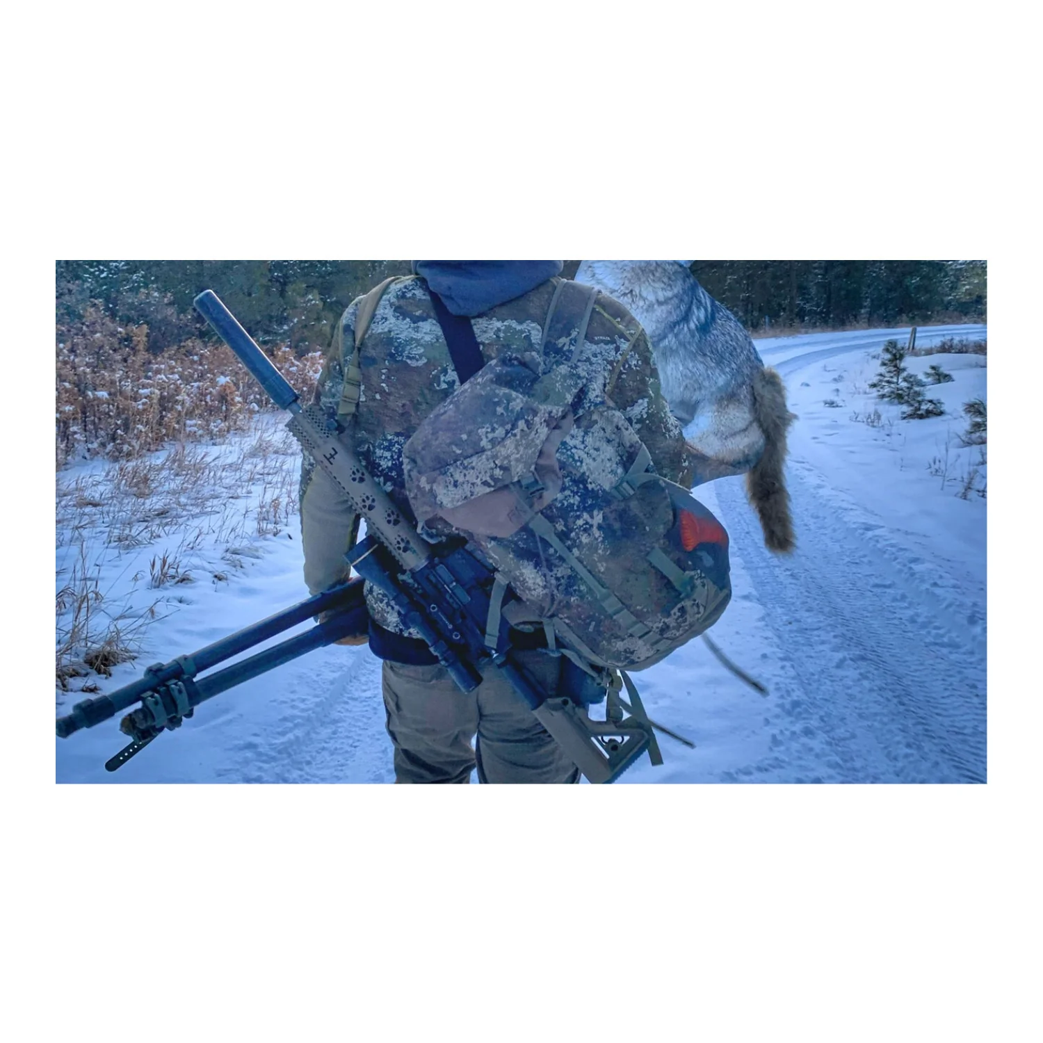 Montana The Song Dog Realistic Coyote Decoy with 3D Moving Tail - Image 4