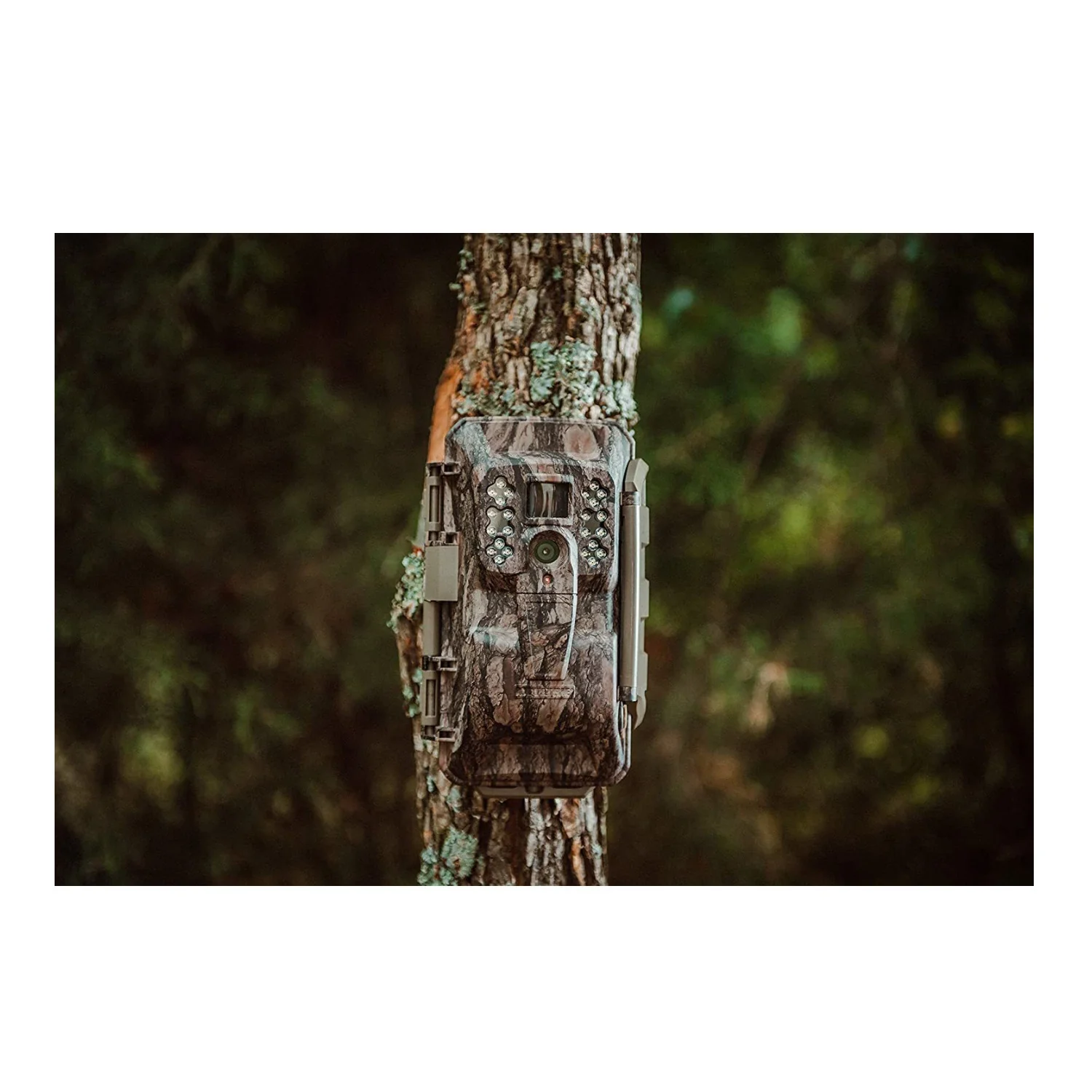 Moultrie Mobile XV-6000 Cellular Trail Camera (Verizon Network) - Image 3