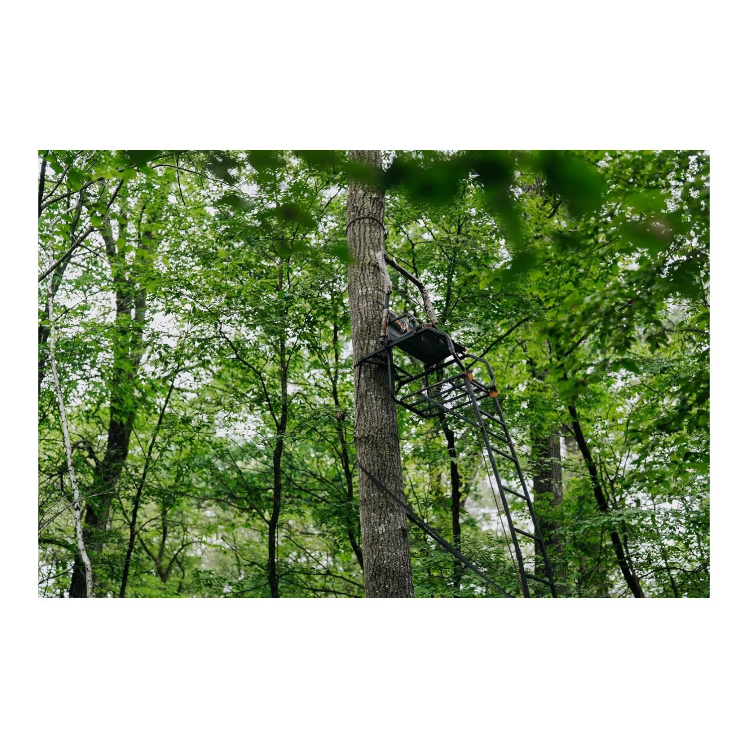 Muddy 20' Odyssey XTL Ladder Tree Stand with Tree-Lok System (350 lb. Capacity) - Image 5