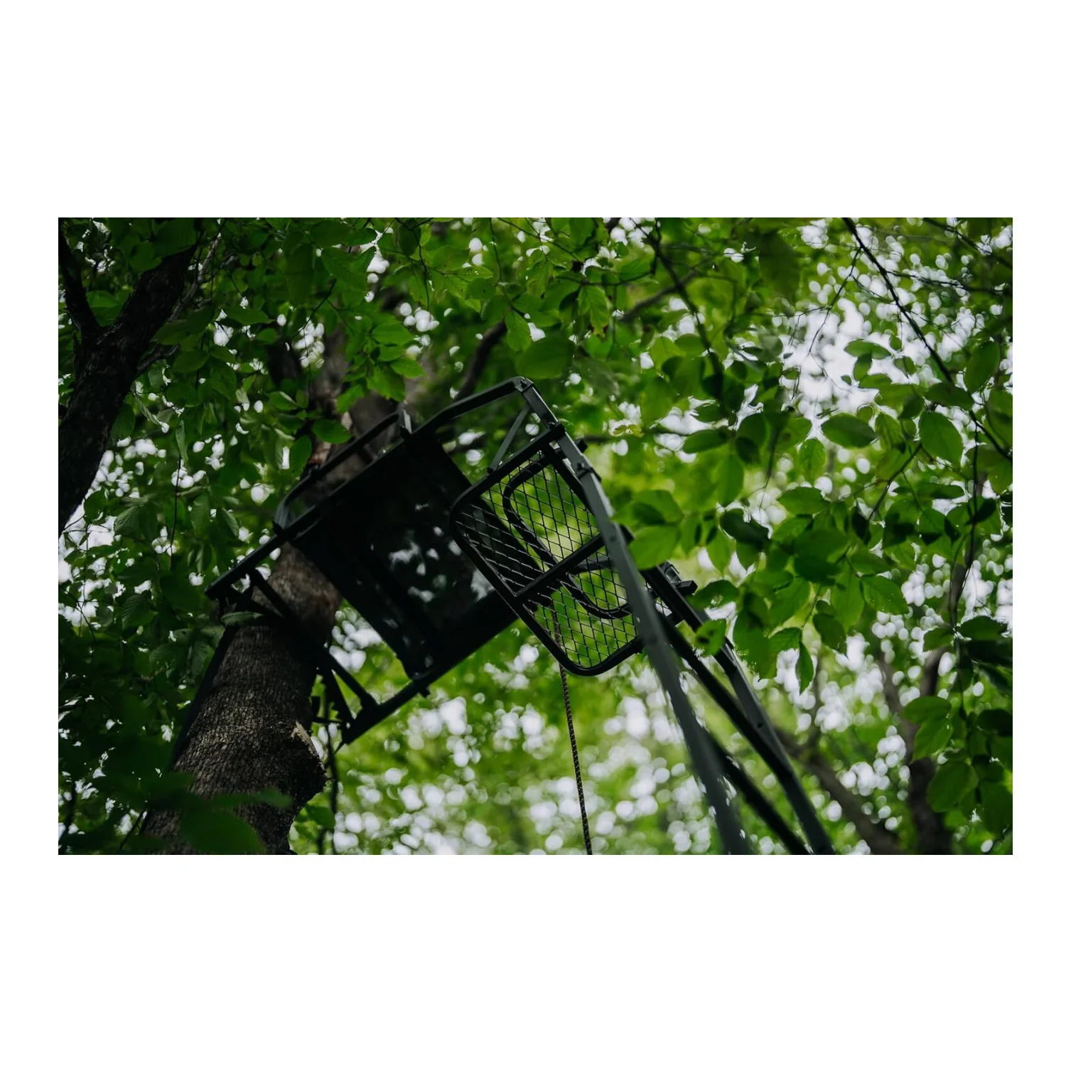 Muddy 20' Odyssey XTL Ladder Tree Stand with Tree-Lok System (350 lb. Capacity) - Image 7