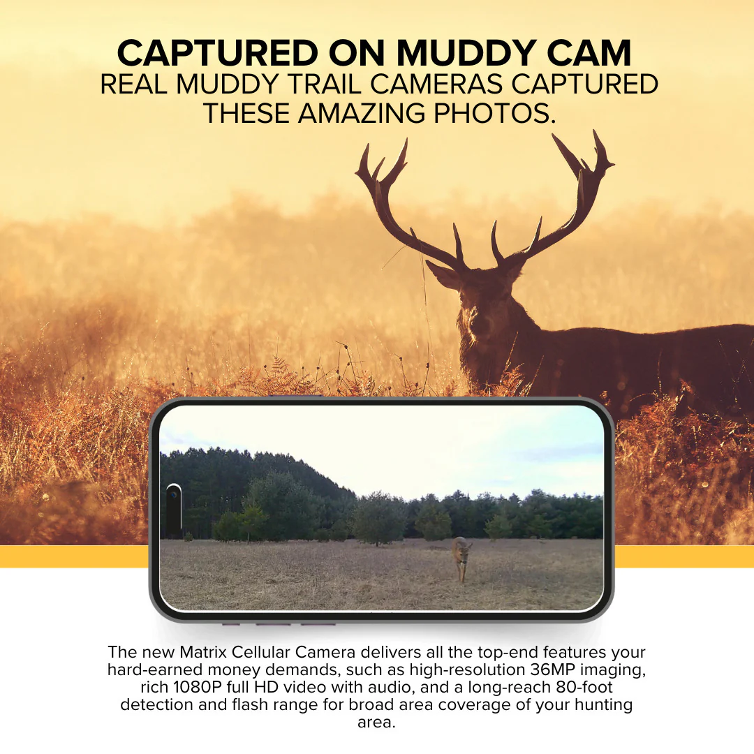 Muddy Matrix 36MP Imaging Cellular Trail Camera with On Demand Photo (Mud, 10-Pack) Bundle - Image 4