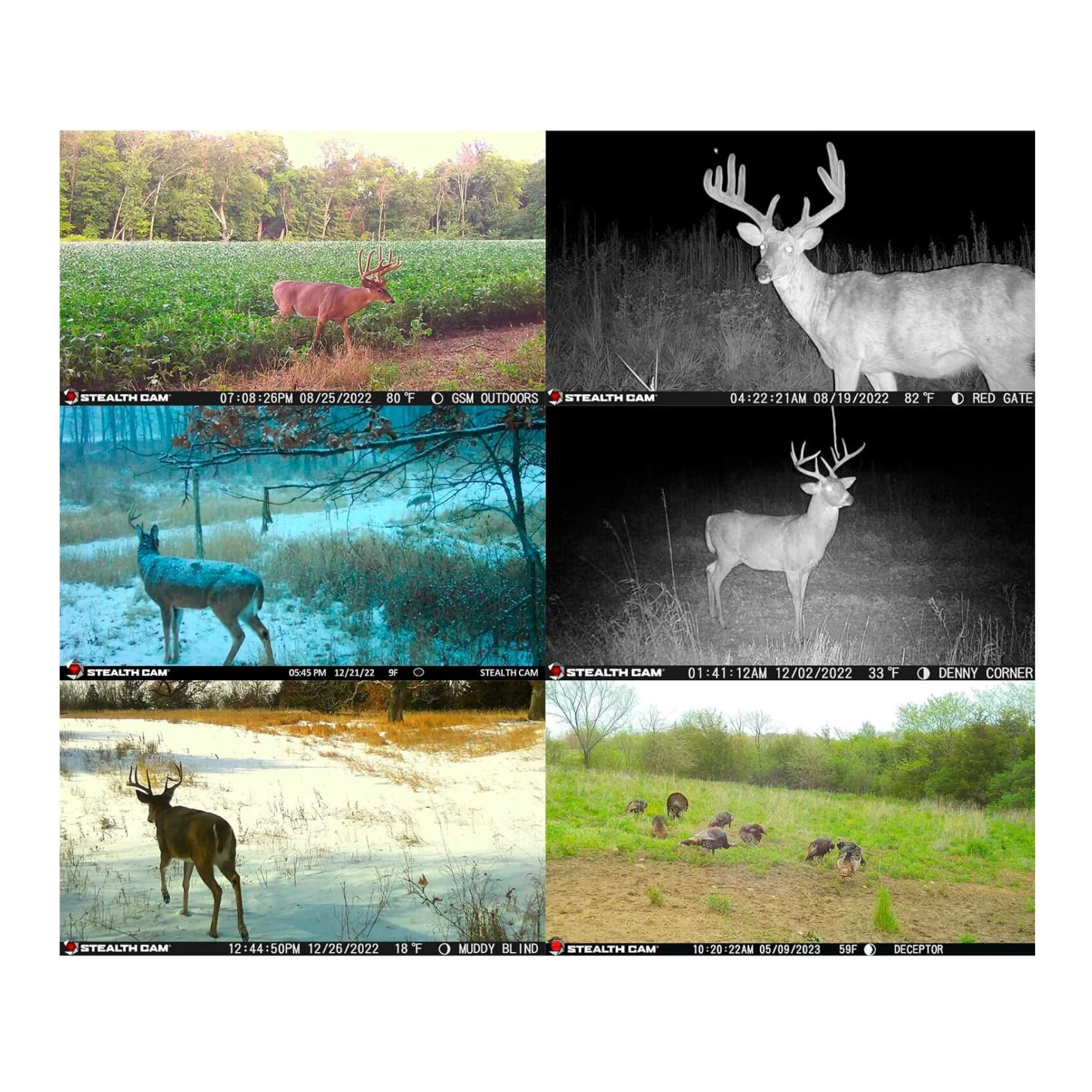 Stealth Cam Deceptor Dual Network Trail Camera w/ 32GB Memory Card & Card Reader - Image 6