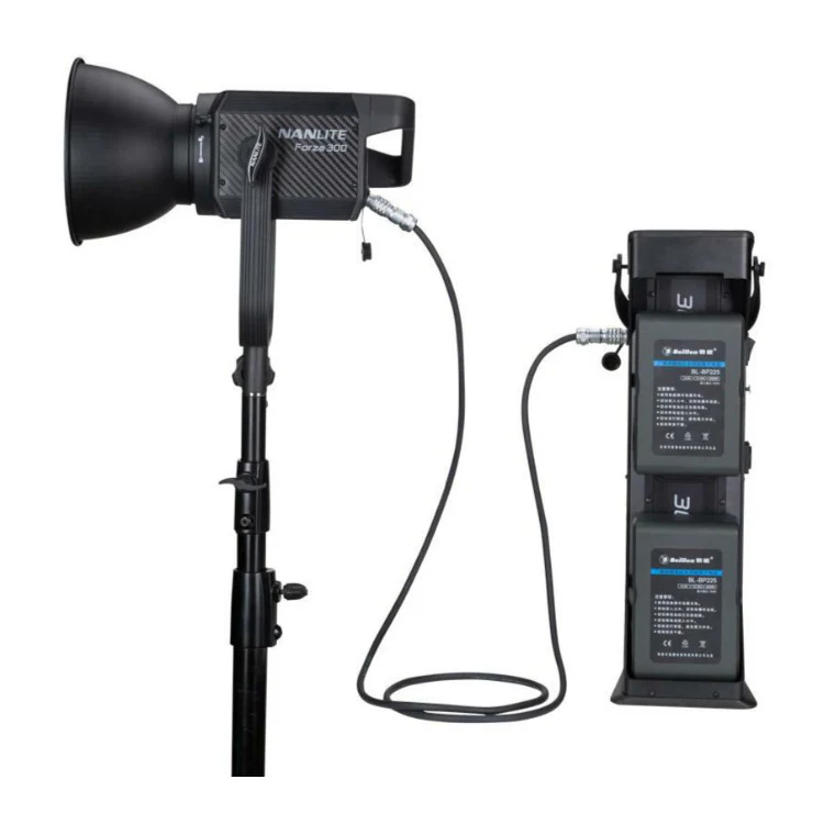 Nanlite Forza 300 LED Monolight - Image 7